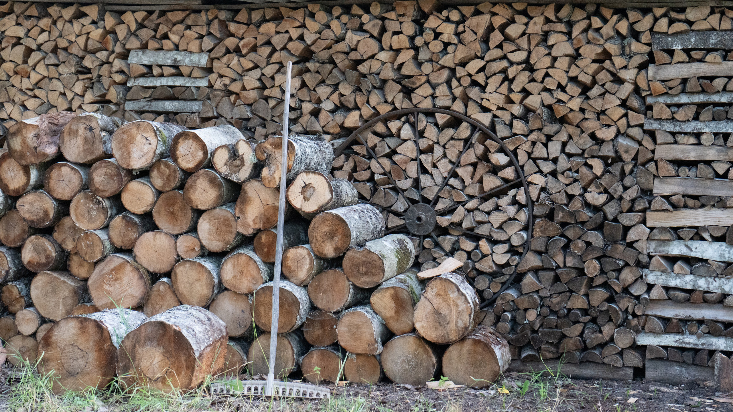 Whispers of Estonia. Photography | Videography | Marketing