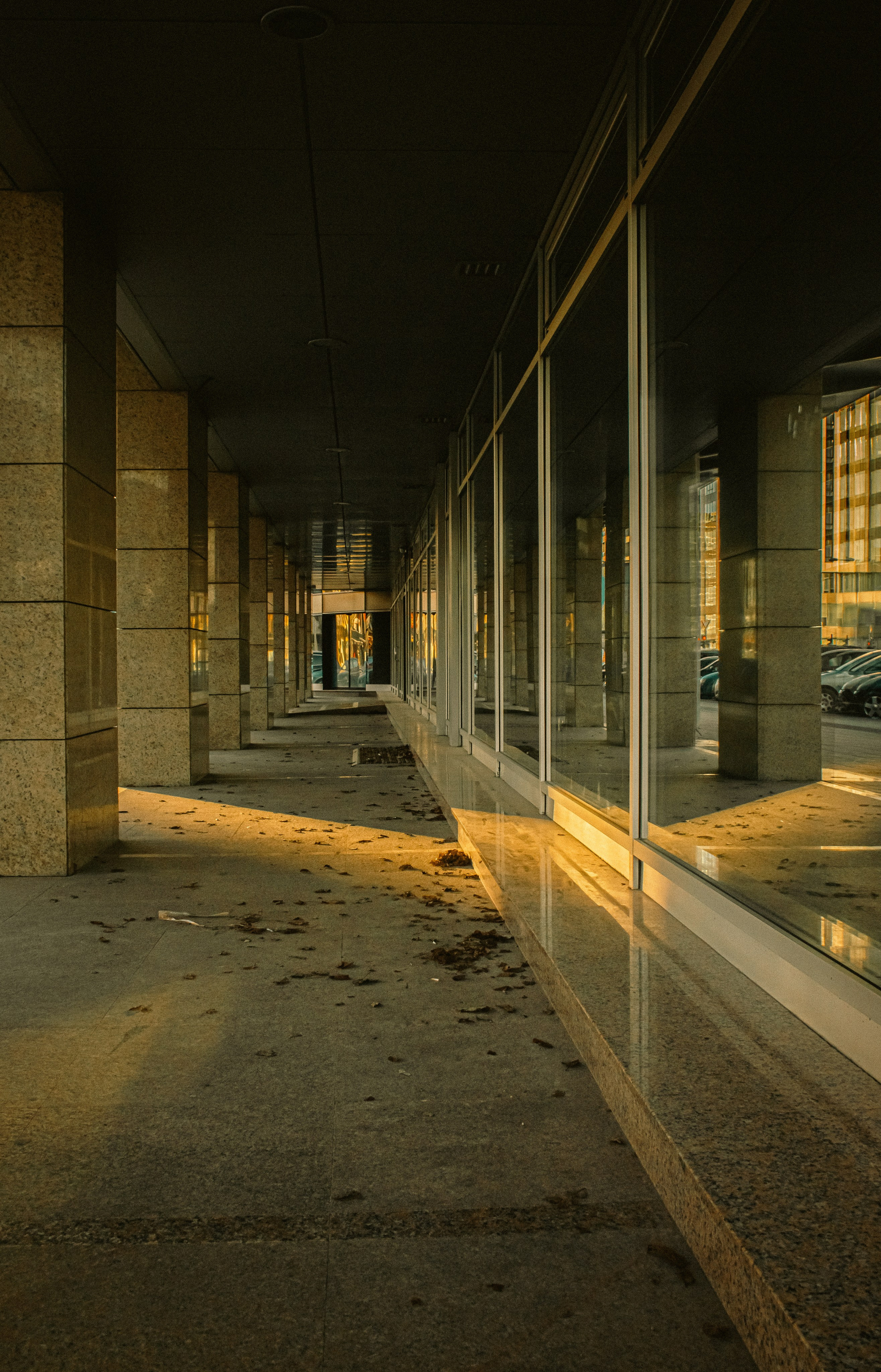 My angel of view to Novi Sad city, Serbia. Victoria Fedoseenko. Photographer from Serbia