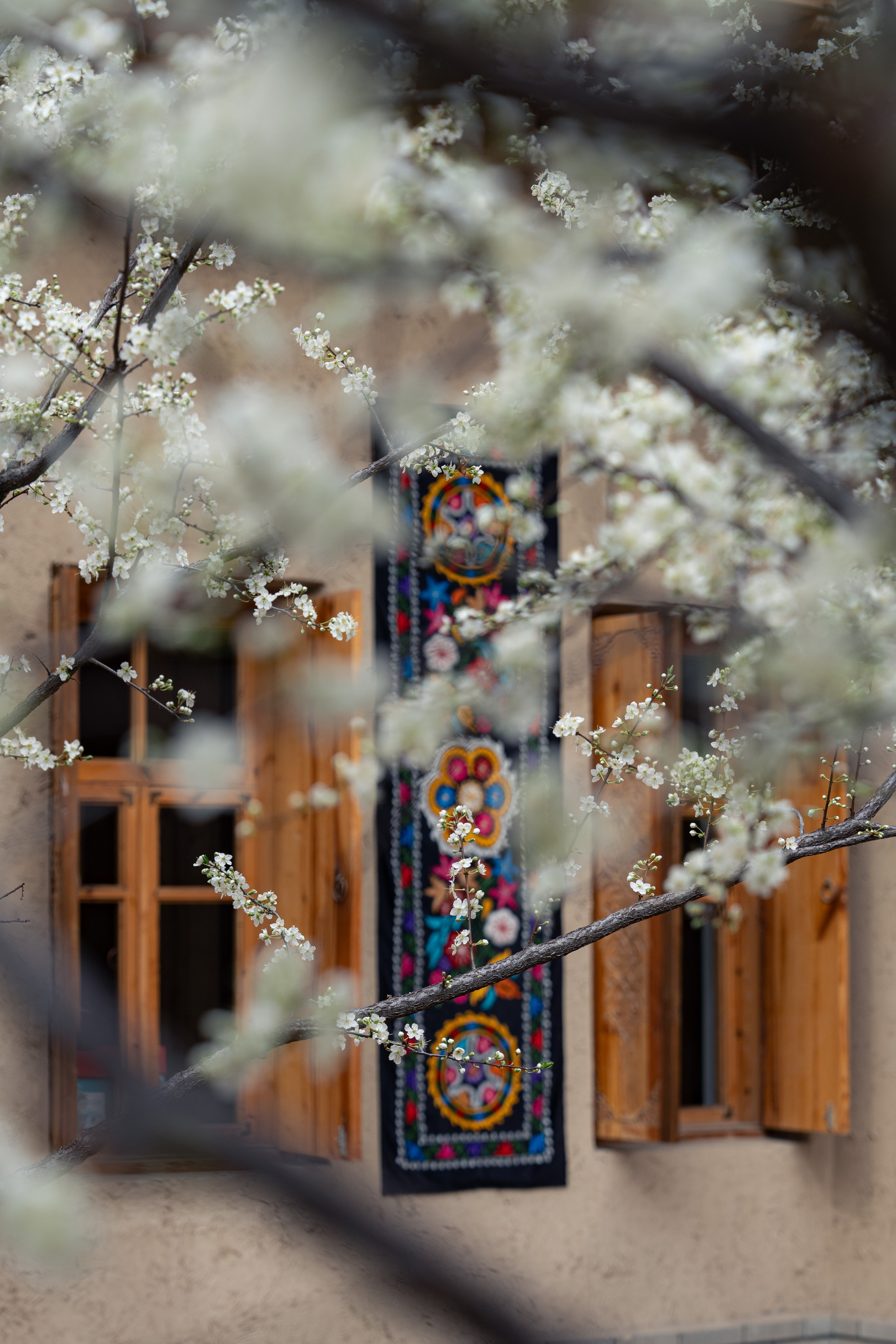 Навруз. Георгий Намазов | Фотограф в Ташкенте