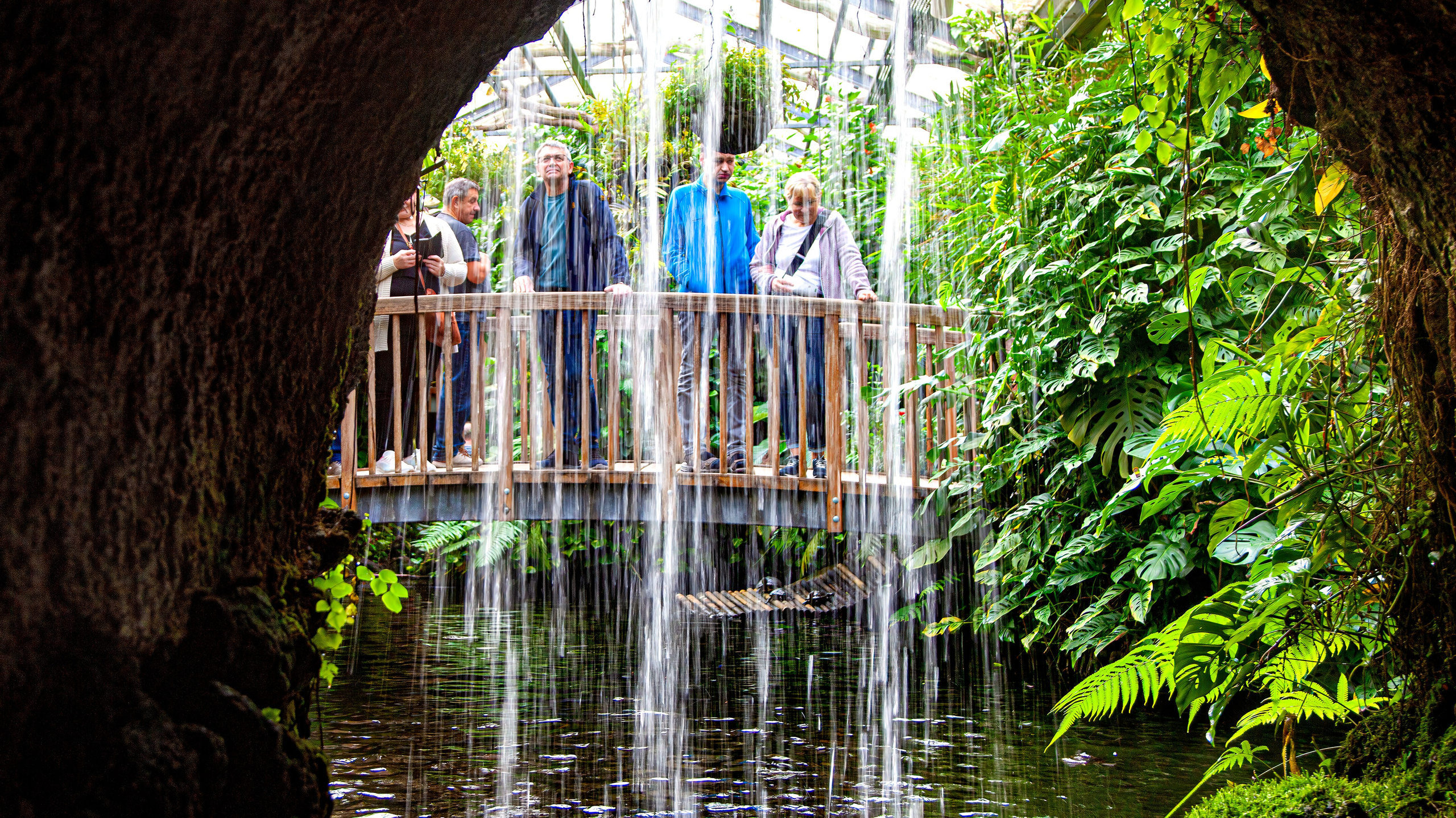 187.Mainau.Germany.24.9.2024. Путешествия в формате 360......