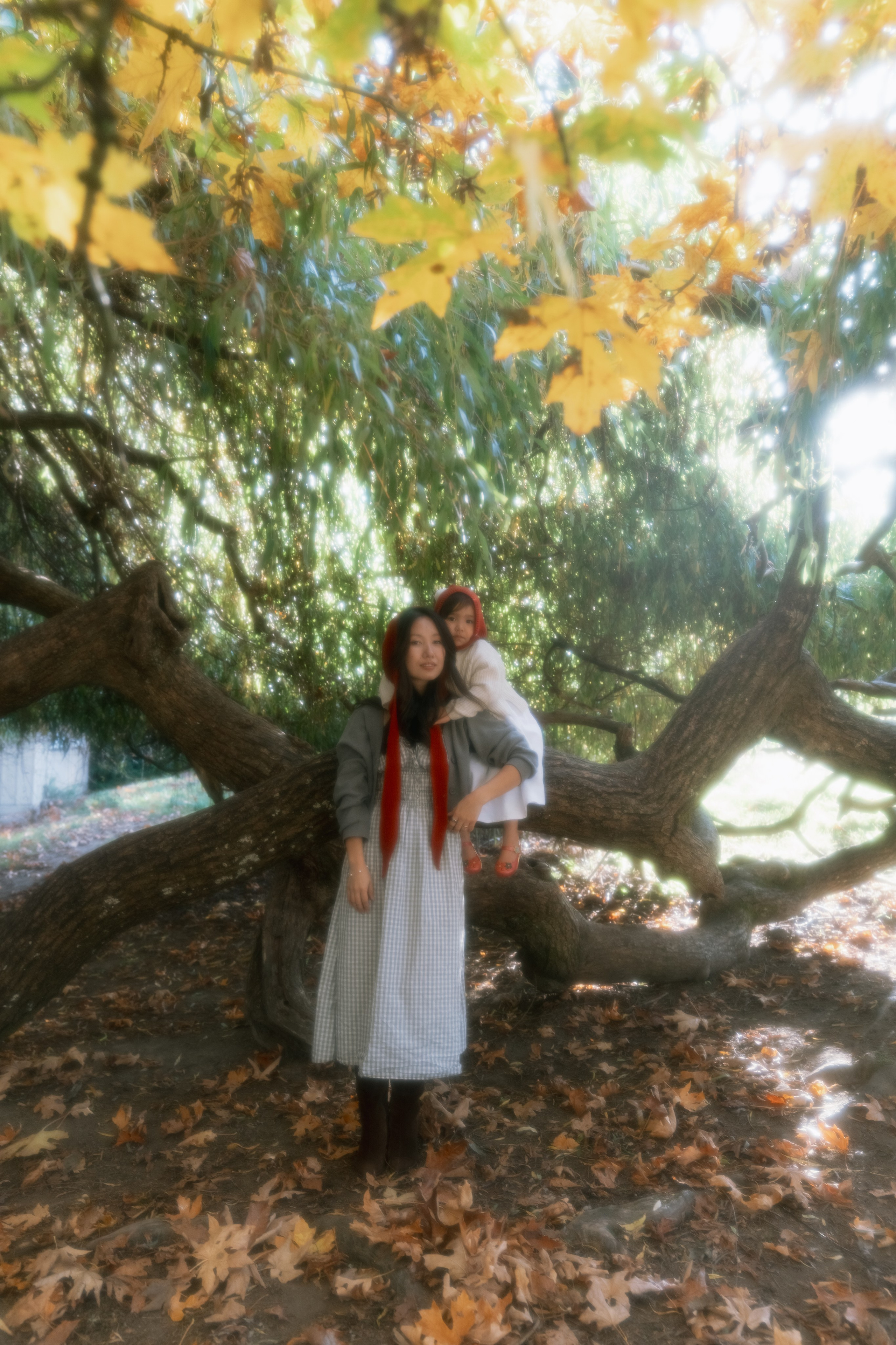 FALL MINI SESIONS. Photographer & Videographer Ksu