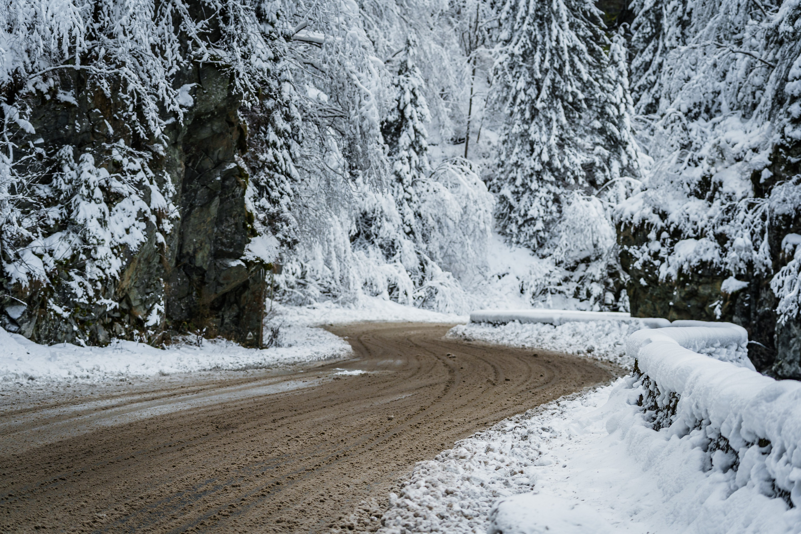 Nature. Alecsandru Braicu — Sports Photographer