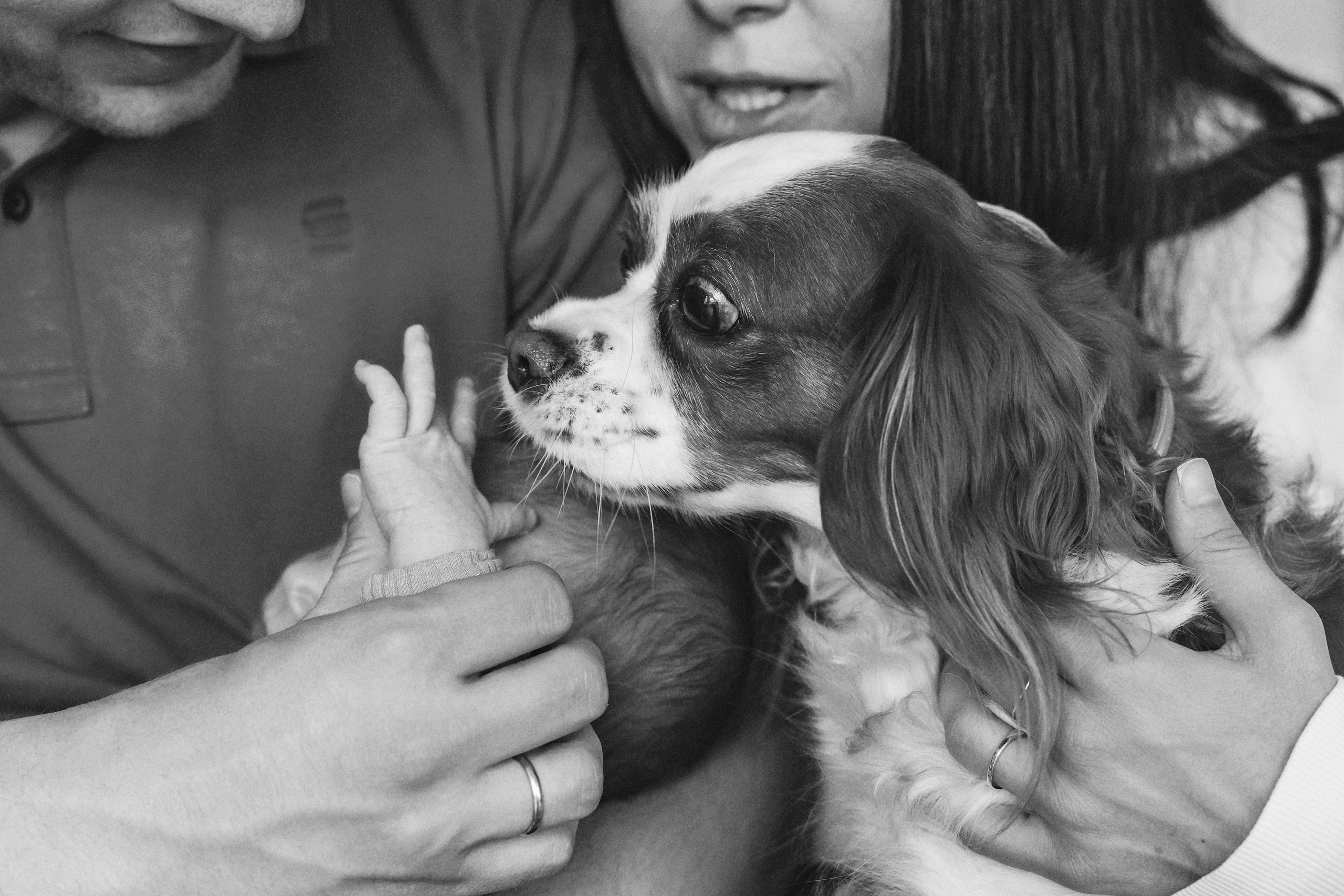 Фотосесия за новородено. Фотограф Ирина Йотова