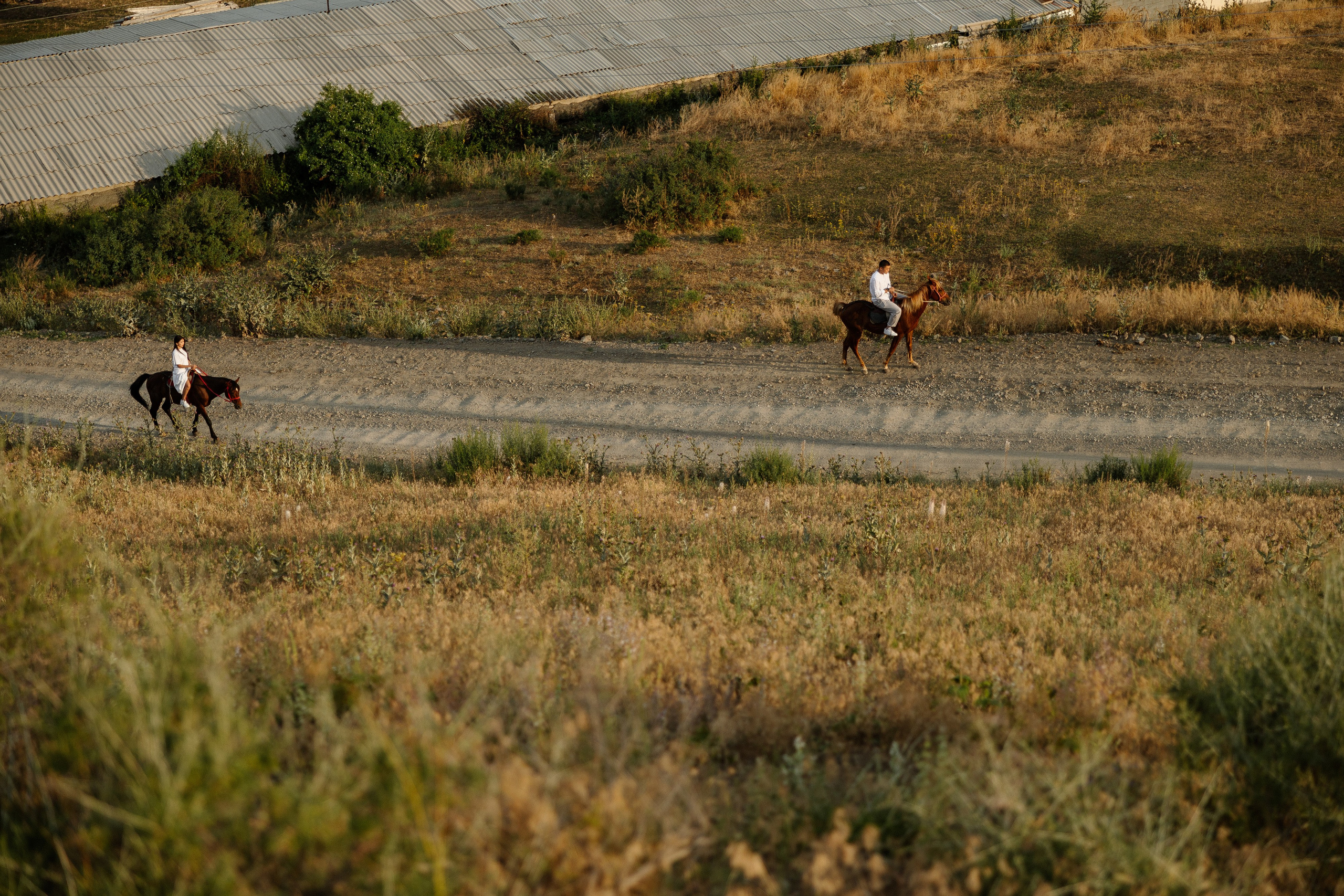 Самат и Айжан. Азимжан Нуритдинходжаев — свадебный фотограф