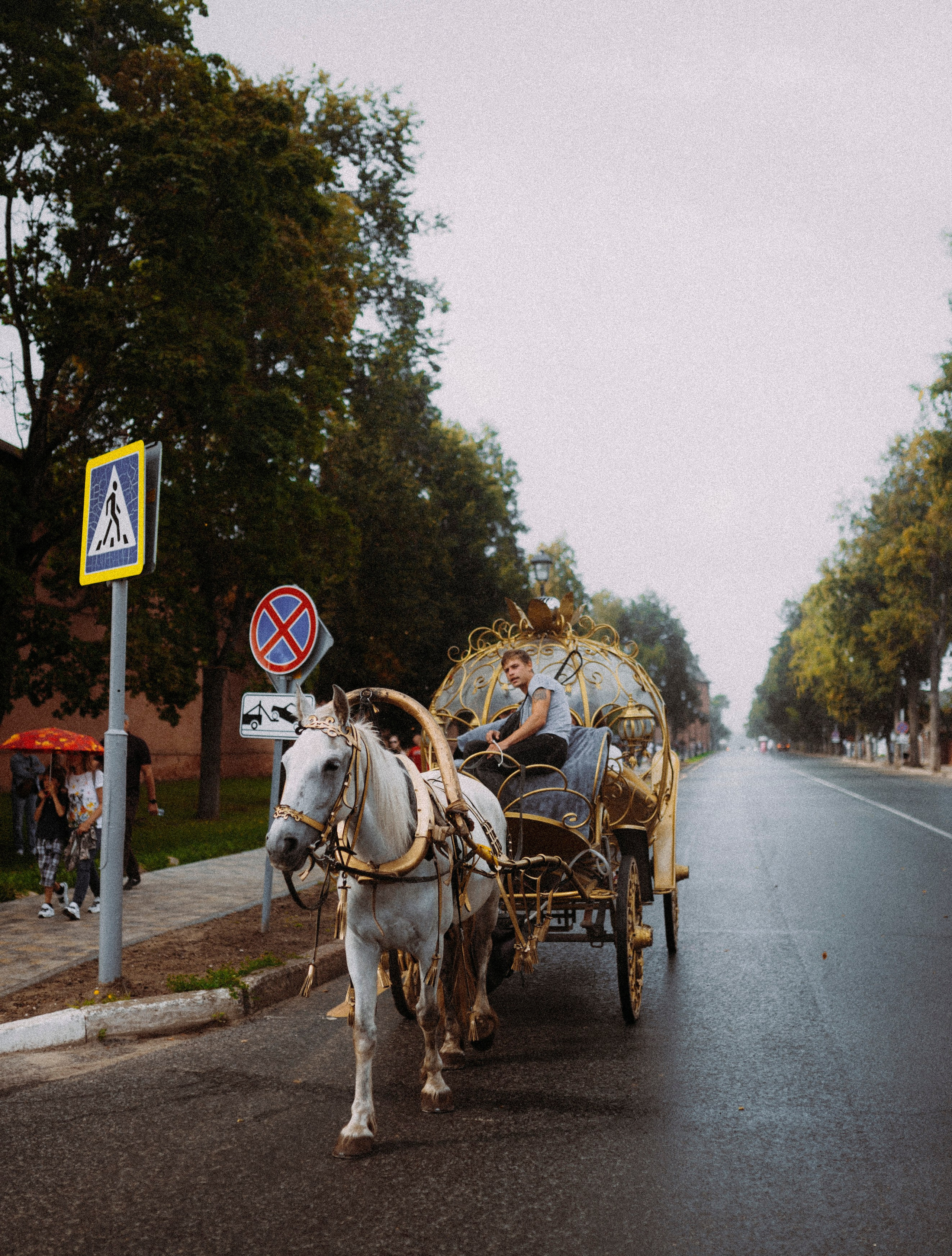 2024. Стрит-фотография, полная абсурда, идиотизма и красоты