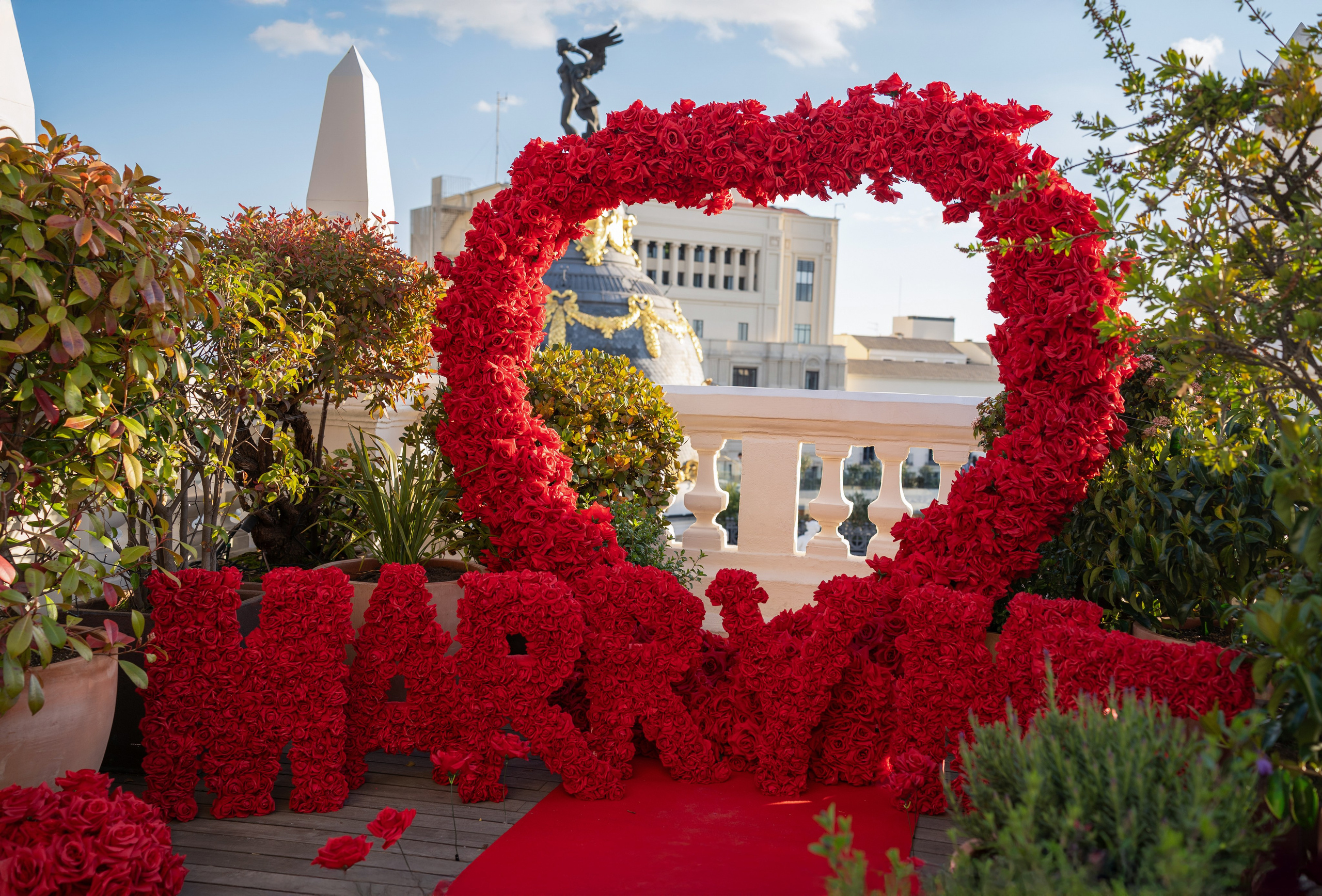 Proposal on the terrace. Fotógrafo en Madrid, España. Alyona Belyaninova