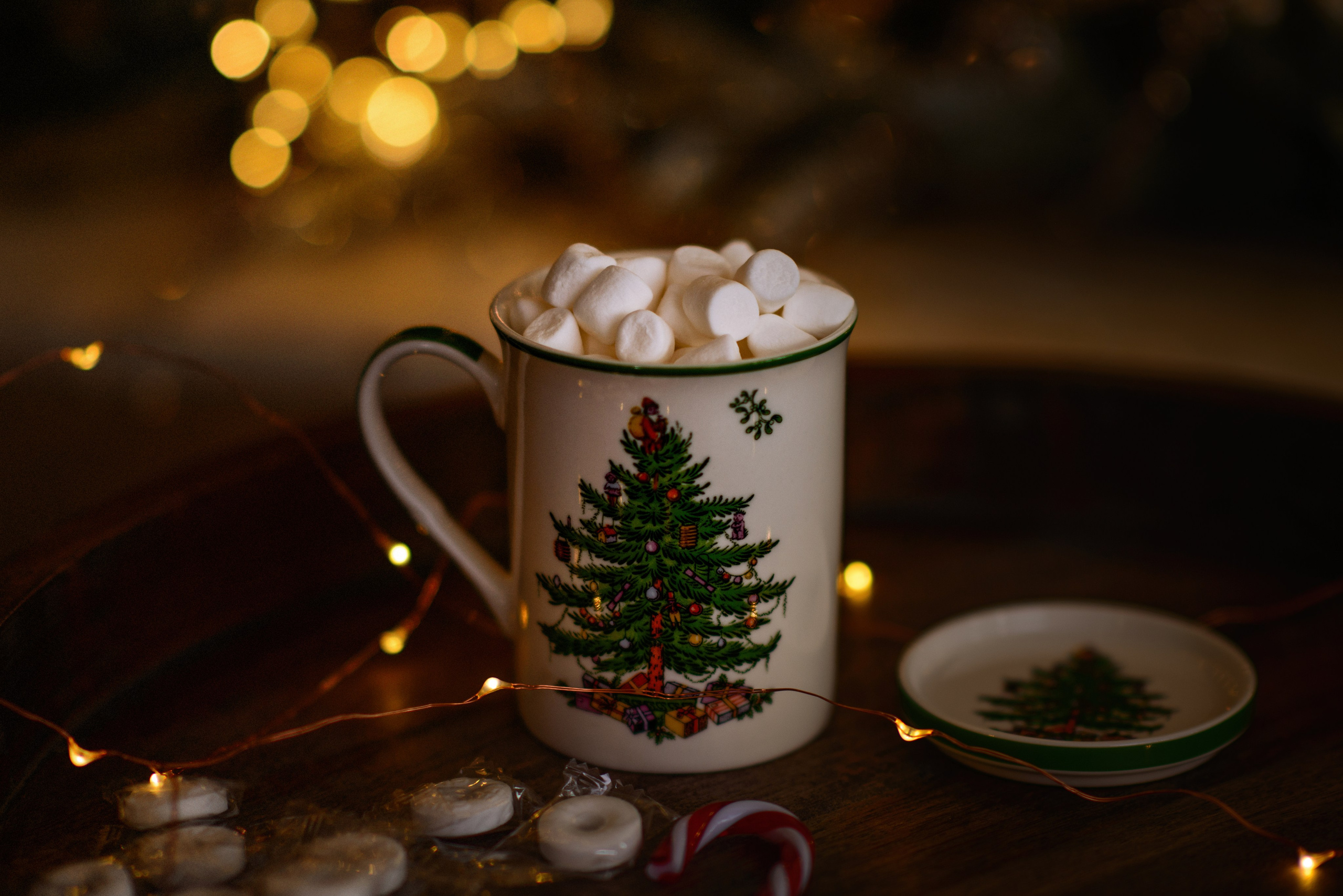 Christmas. Wedding & portrait photography in the Seattle Area. Helen Michelle photographer