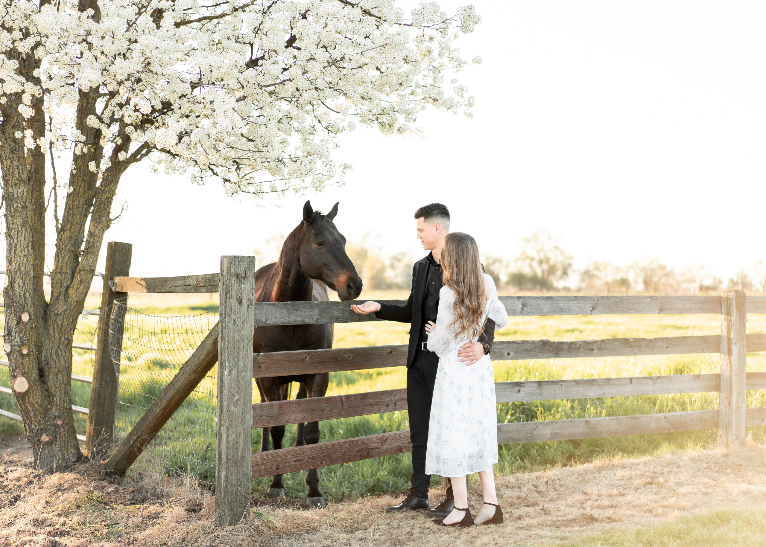 Artem & Lida. Family photographer in Sacramento | Sofia Pavenko
