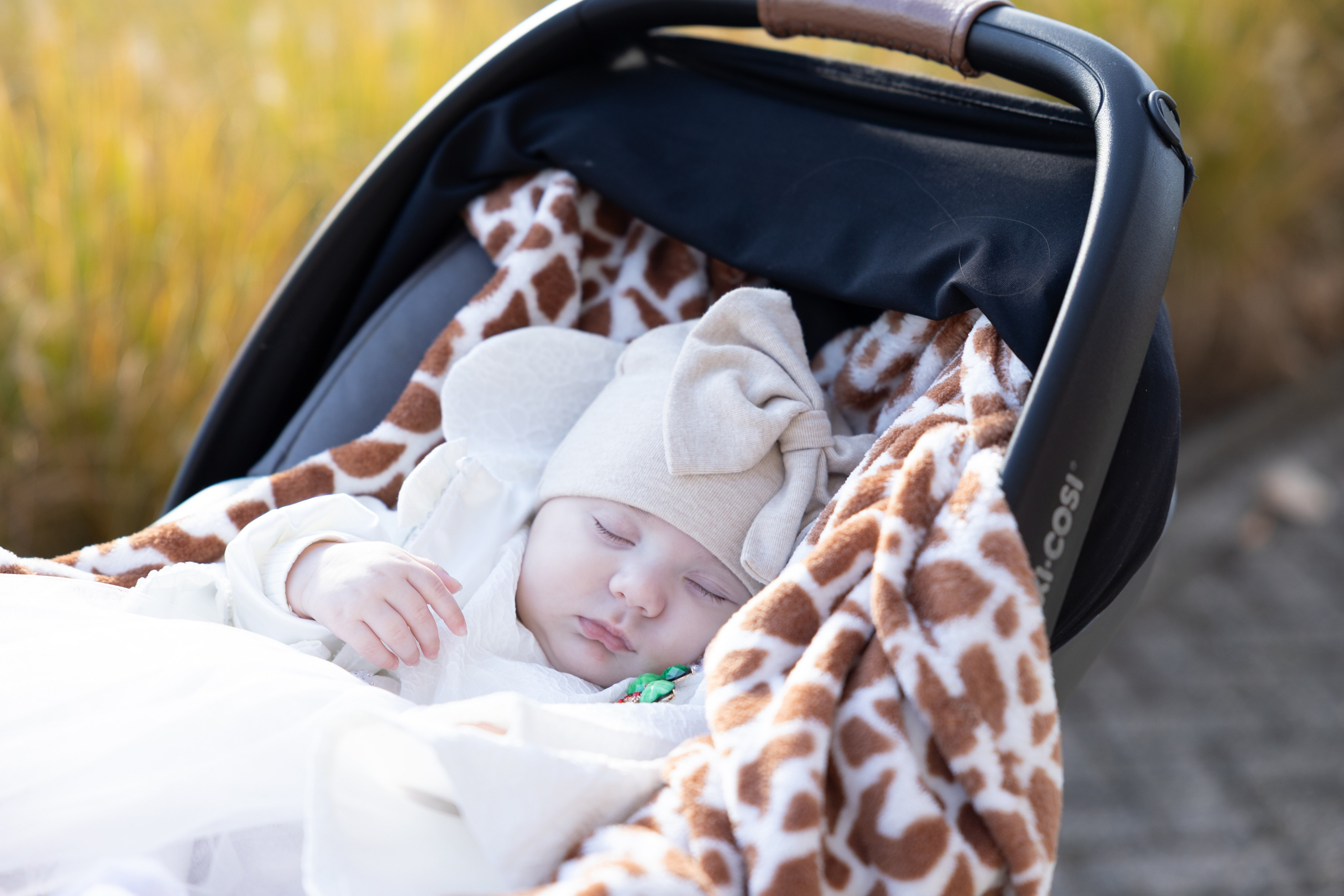 Botez. Portrait and Family Photographer in Netherlands