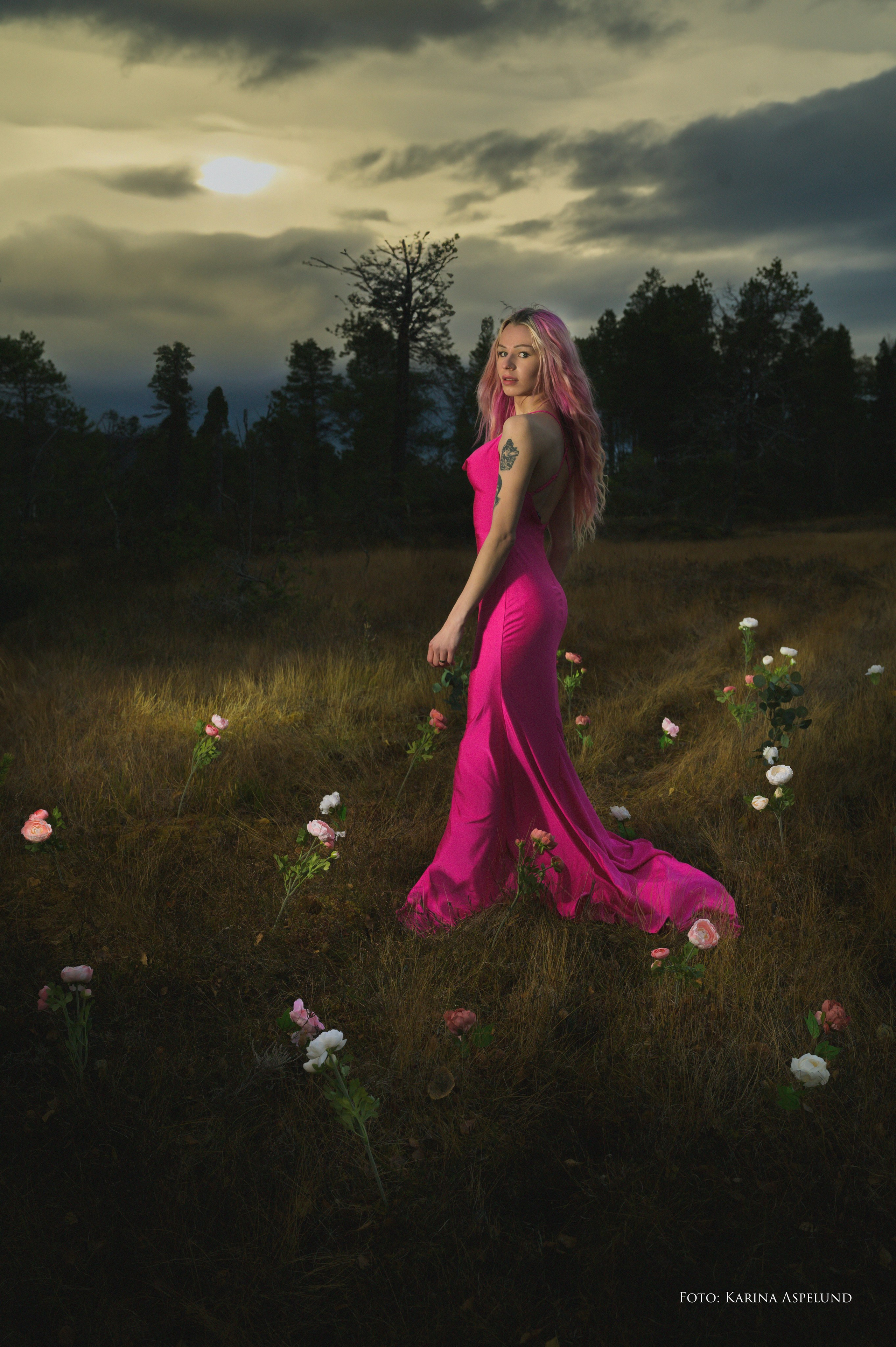 Portrettfoto. Familiefotograf i Narvik kommune