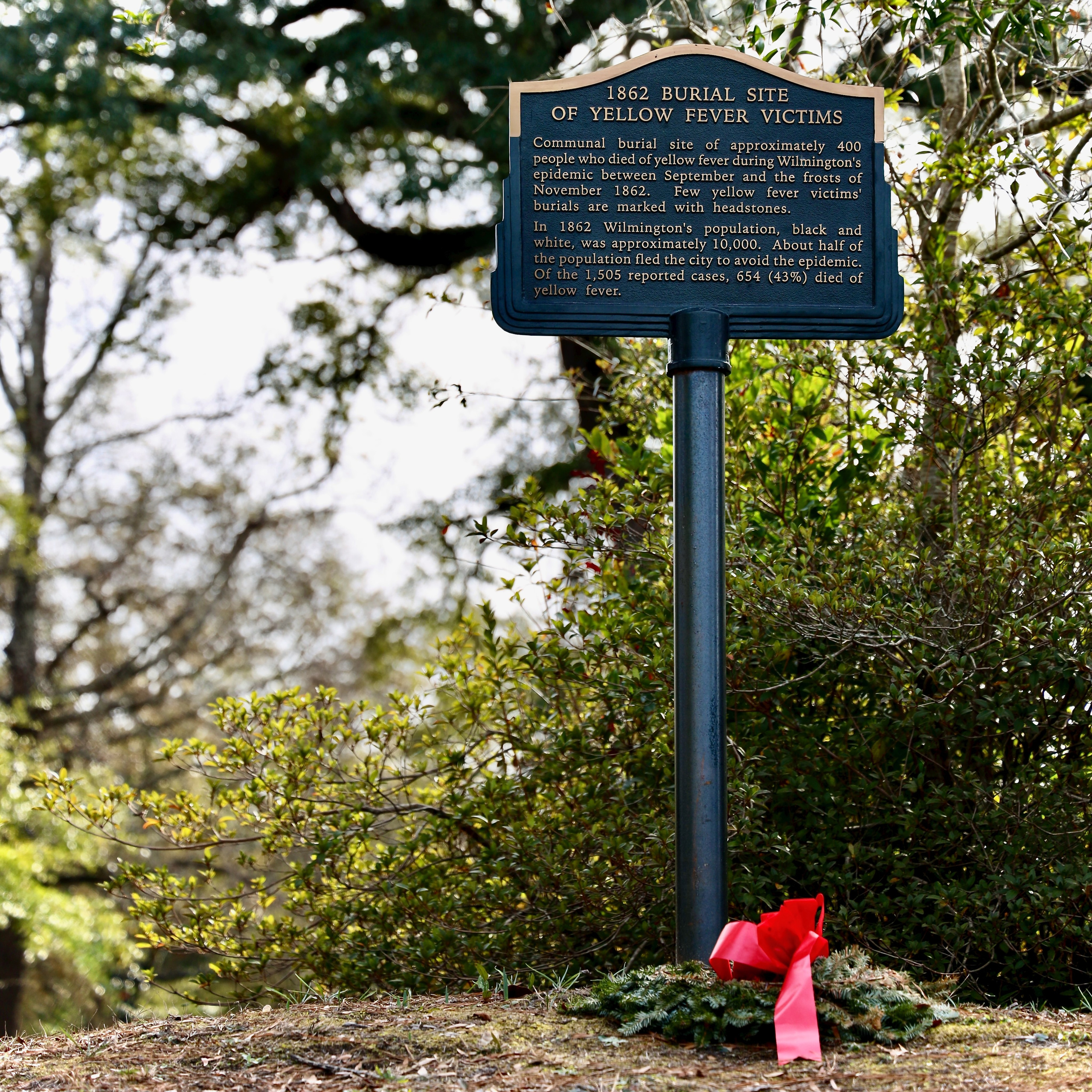 All-Day. Sonny Photos