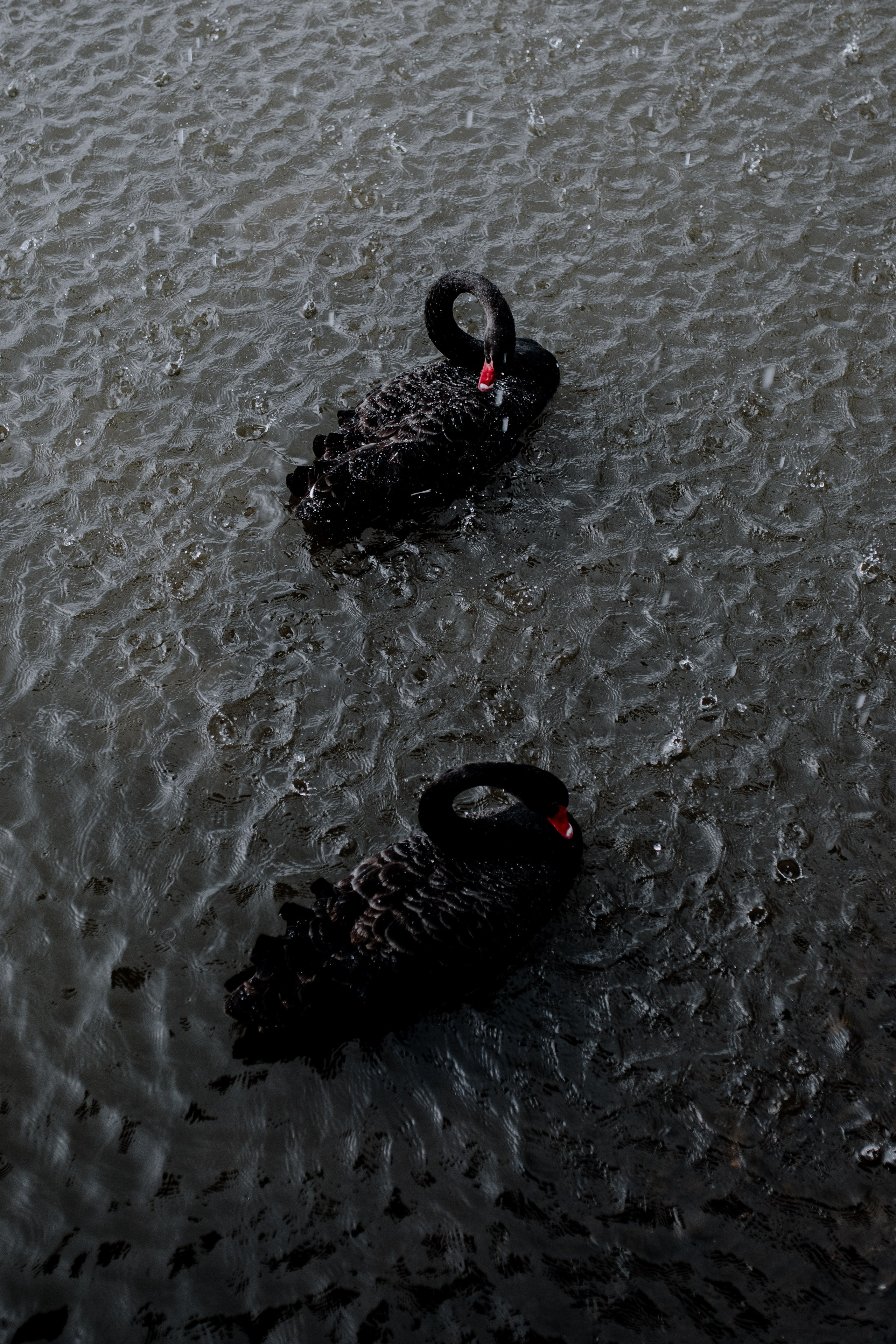 Delia & Andrei. Creativeiso.ro