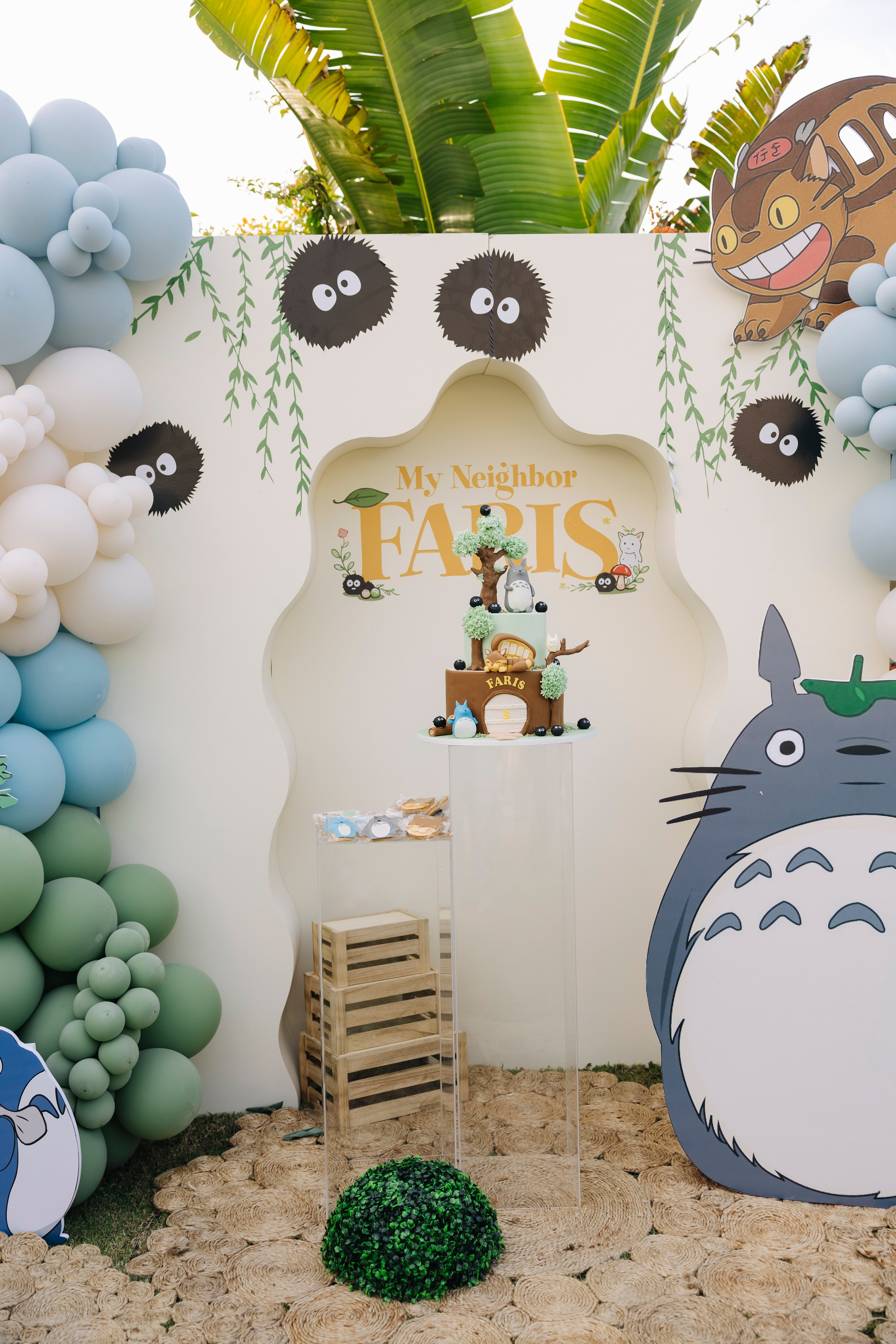 Faris' 3rd Birthday