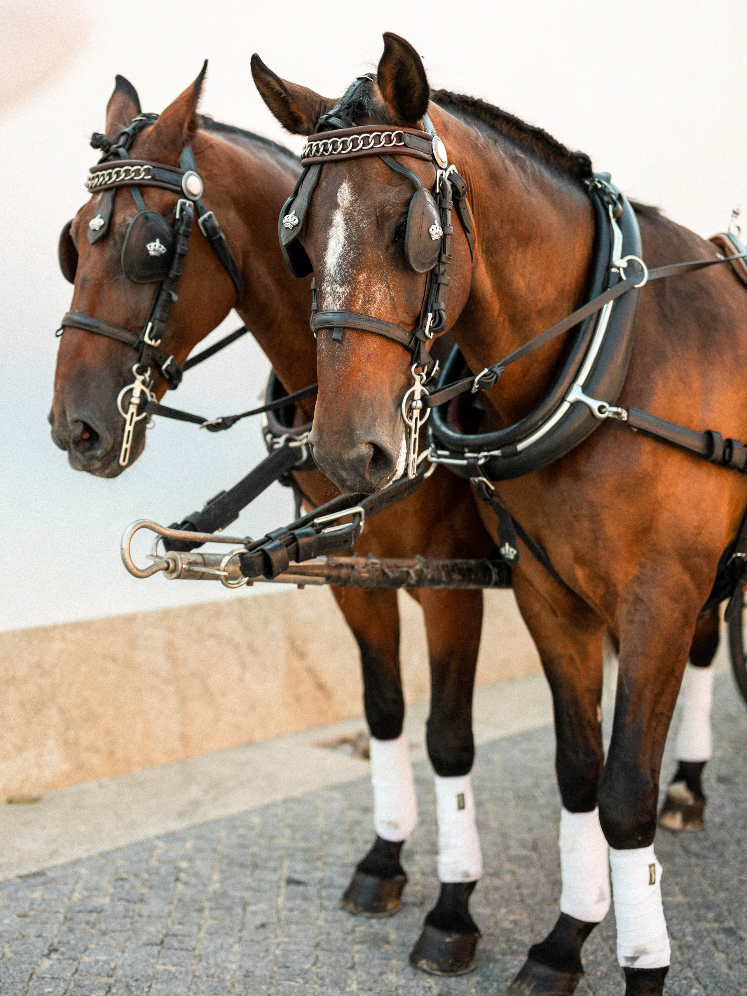 Braga Wedding Photographer | Fica. Portugal Wedding Photographer | Fica