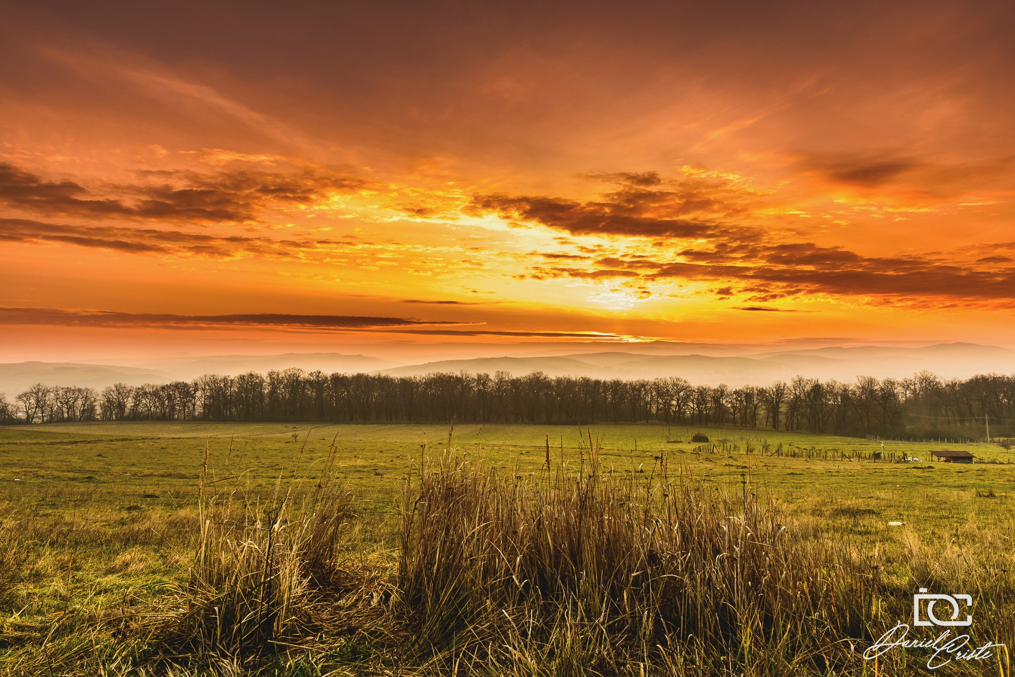 Peisaj /natura. Daniel Criste Fotograf
