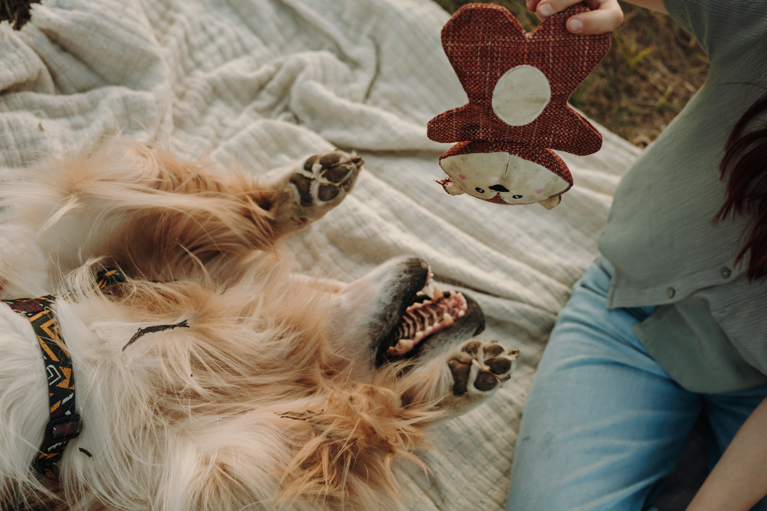 Катя и Бро. Фотограф-анималист | Белград