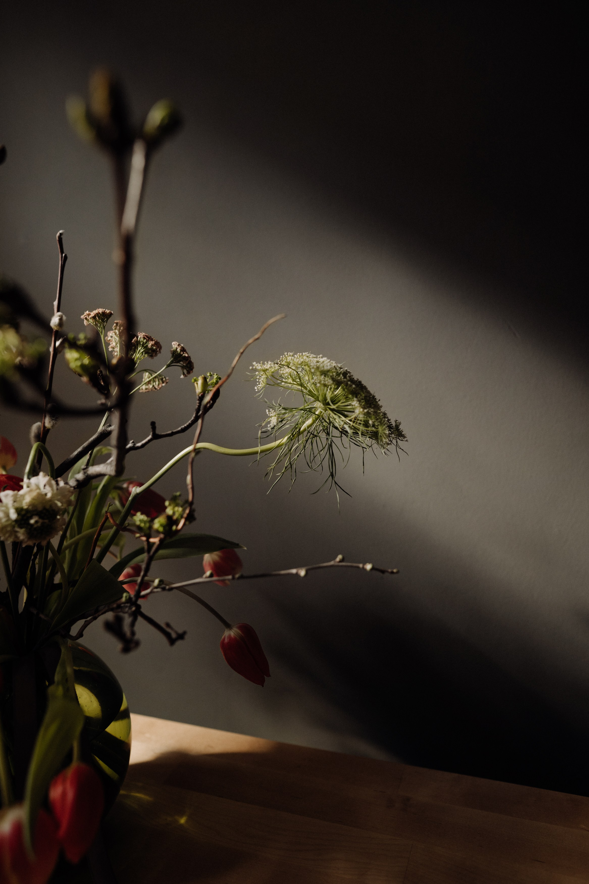 Elena. Фотограф в Праге Анна Лебедева