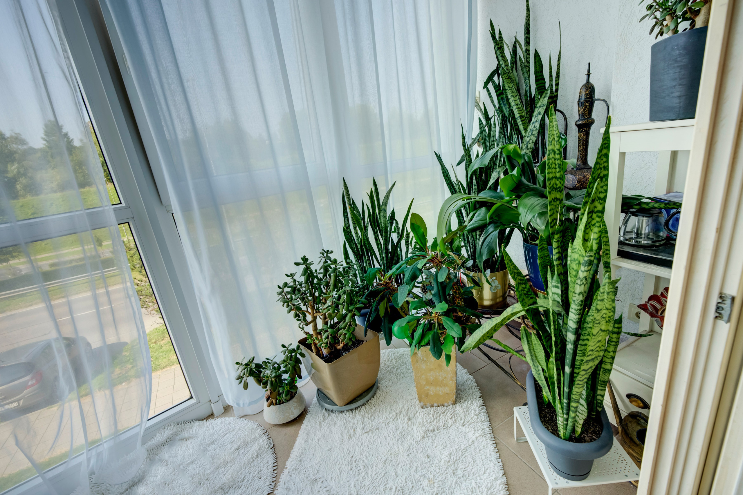 Baltupio g. 123, 3-jų kambarių butas. Elina Sapiega fotografė Vilniuje