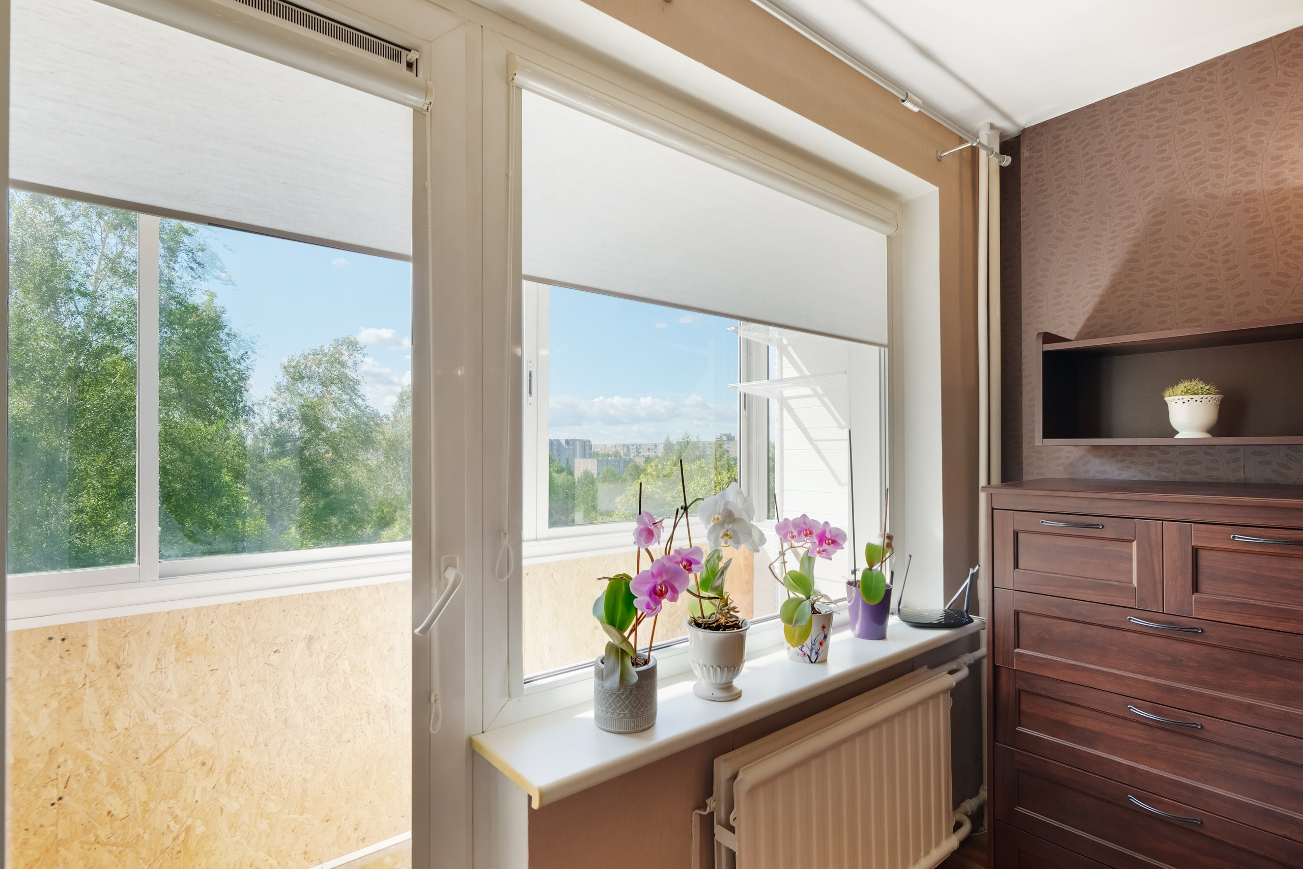 Viršuliškių g. 29. Elina Sapiega fotografė Vilniuje