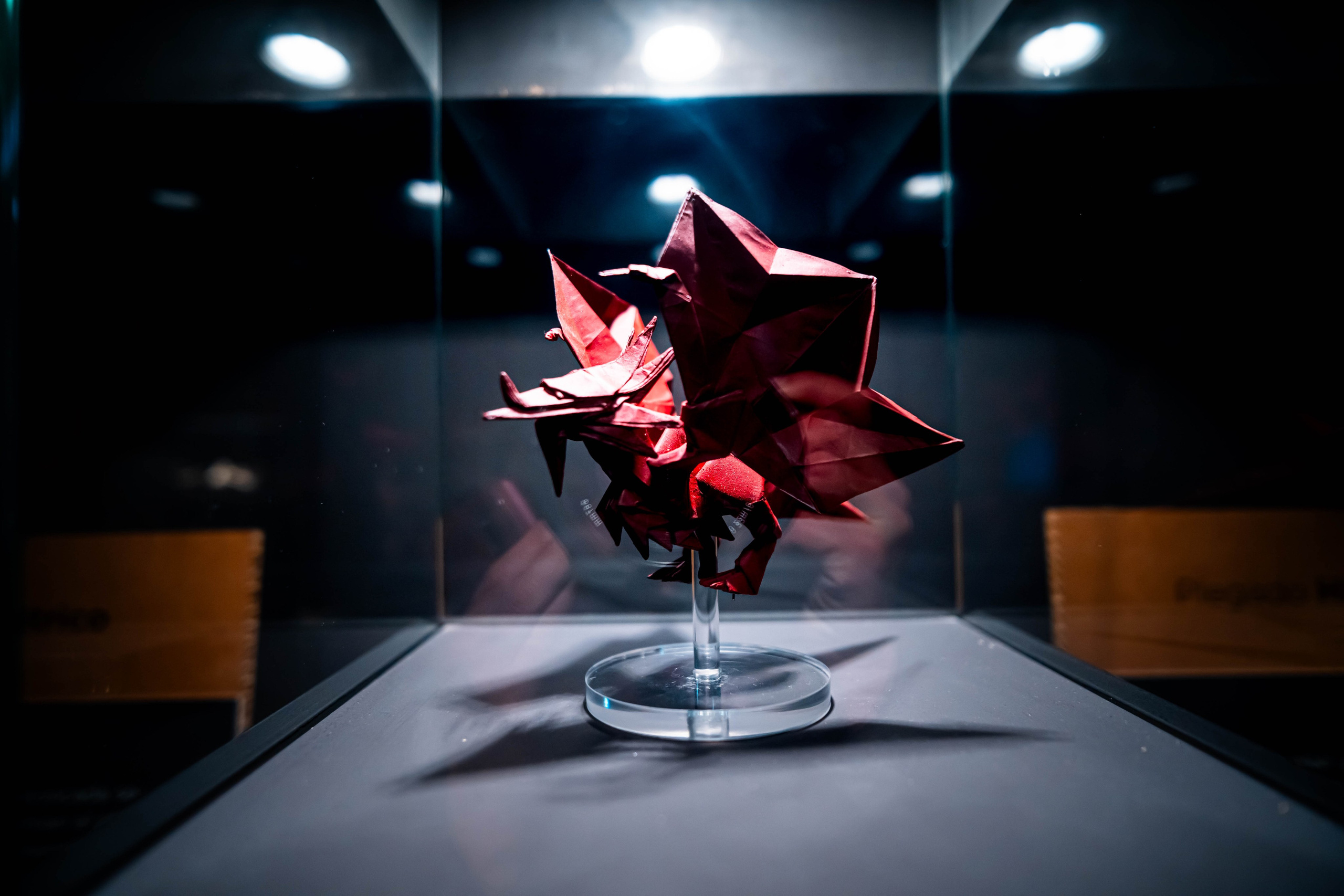 Museo de origami, Zaragoza. Alba del Norte Studio