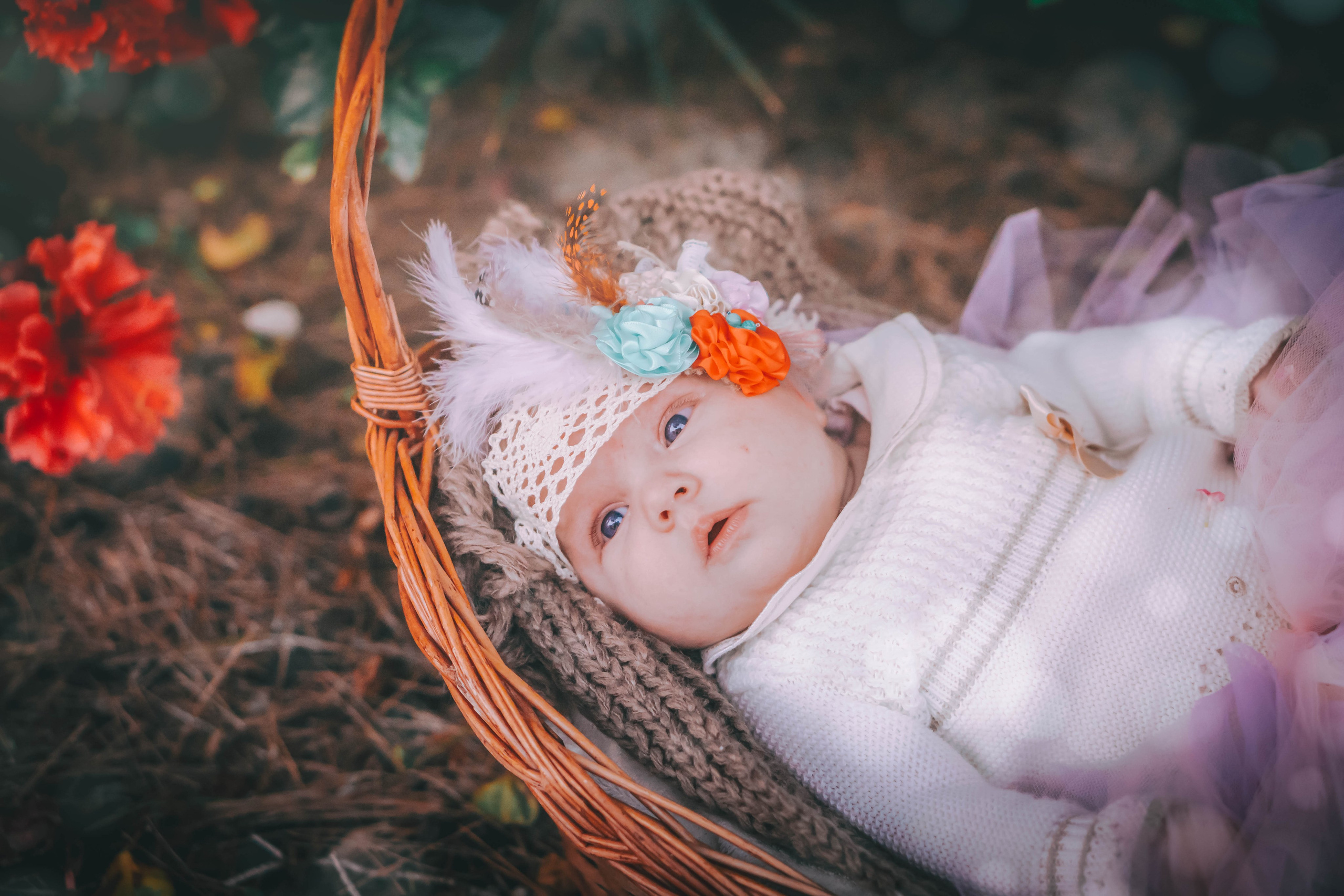 Olivia. Alba del Norte Studio