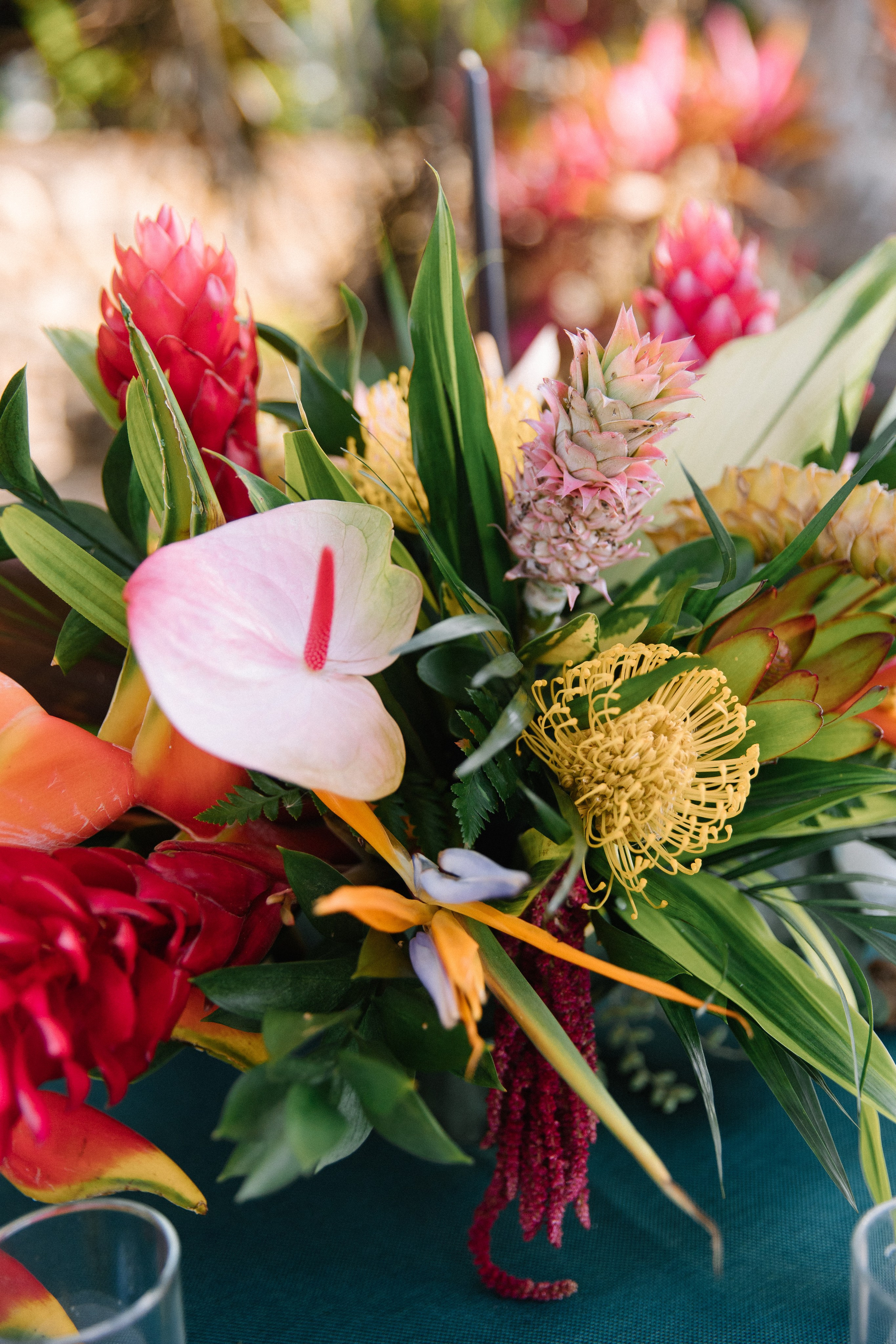 Hacienda Palo Maria, Puerto Vallarta. Wedding photographer Mexico Sayulita Puerto Vallarta Punta Mita Cabo