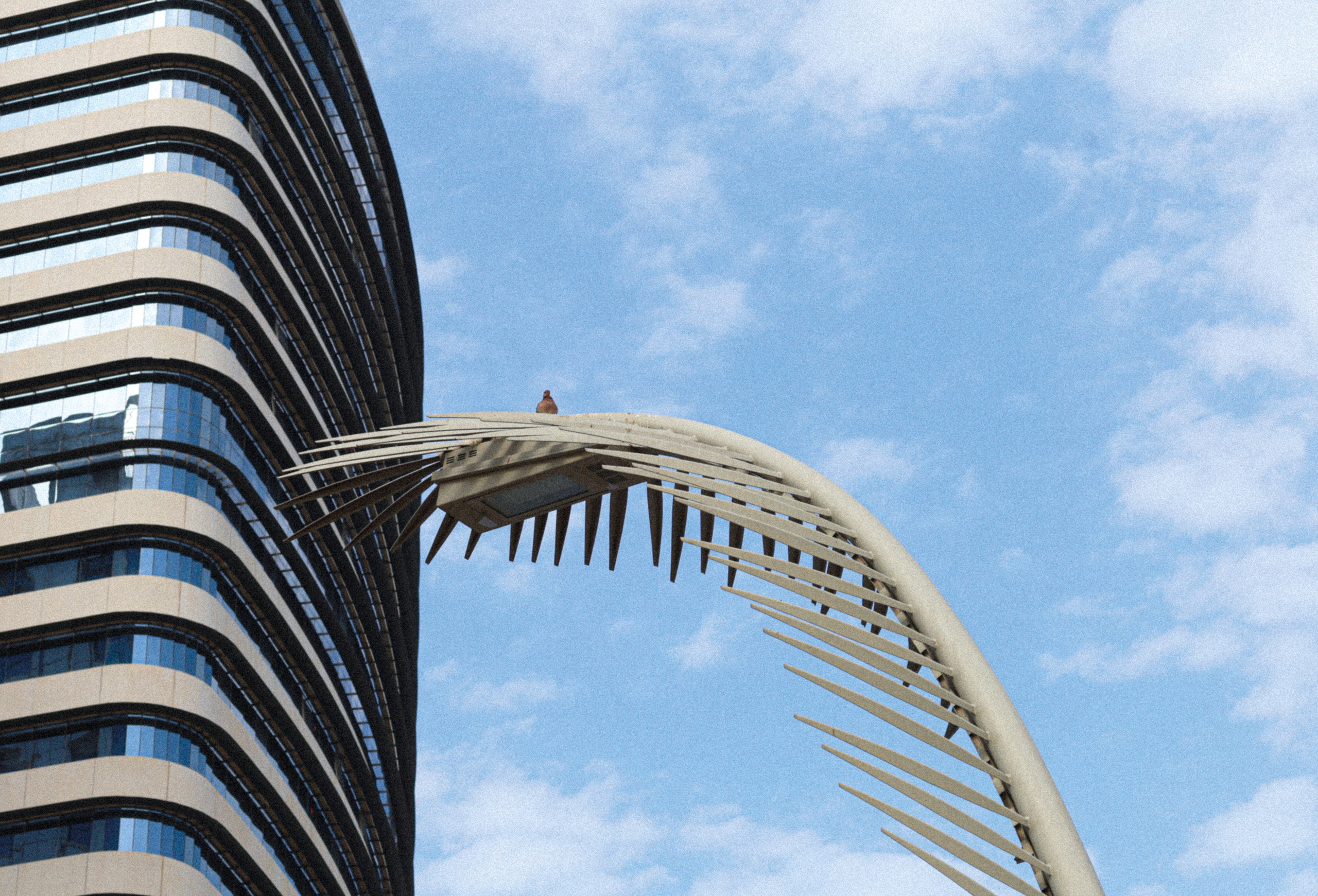 Doha, Qatar. BNW Around Photography