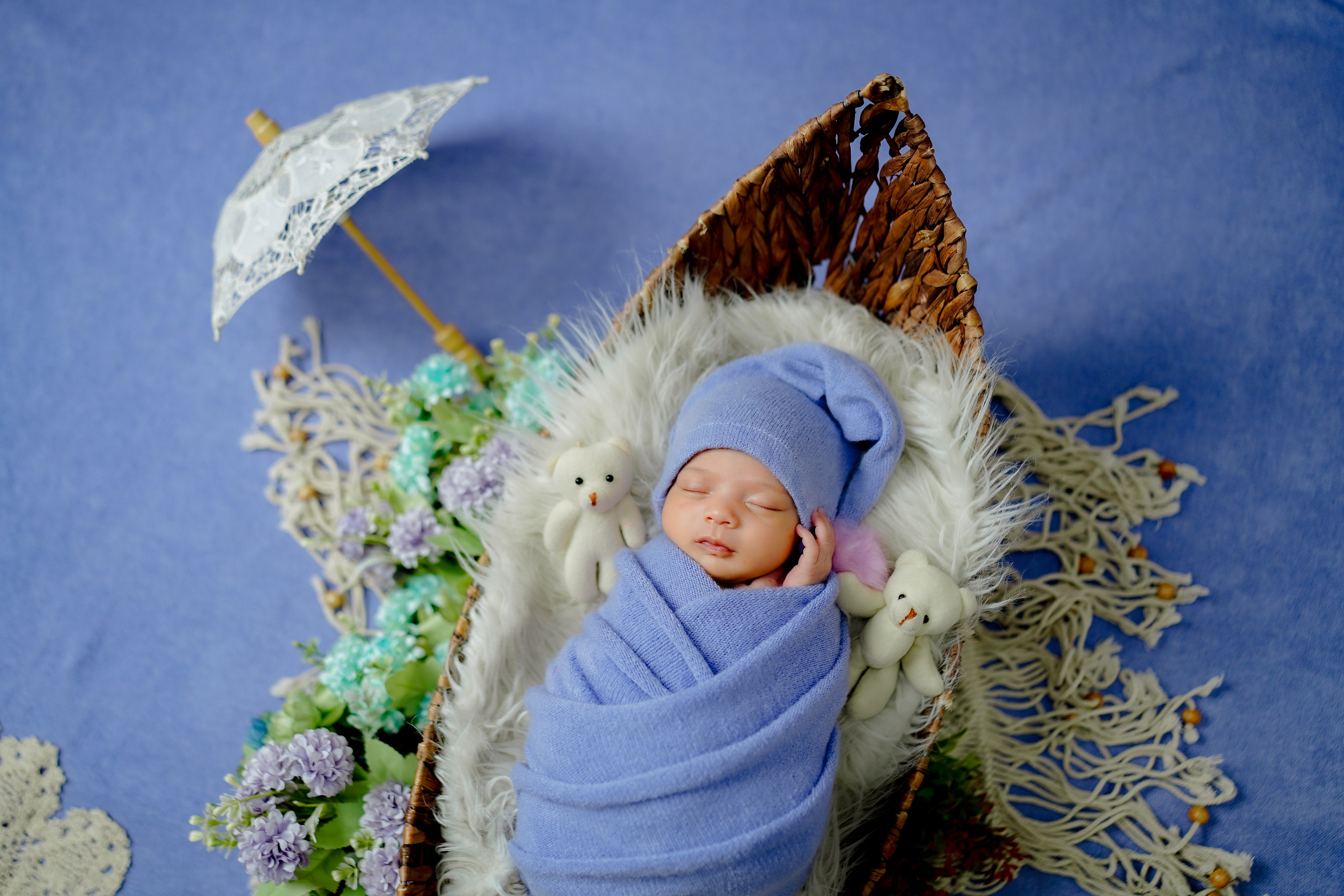 New born. TNF photo & filming