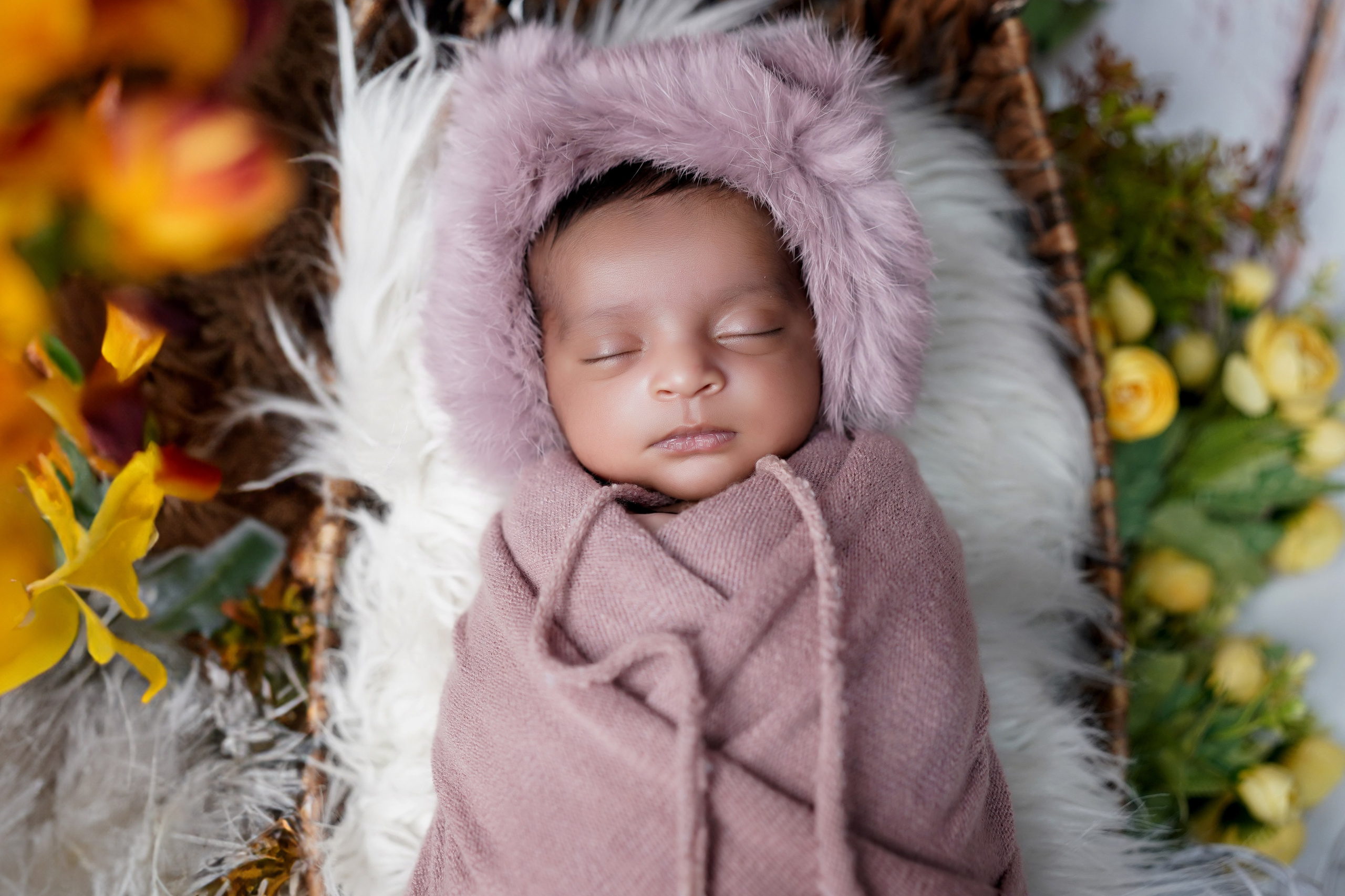 New born. TNF photo & filming