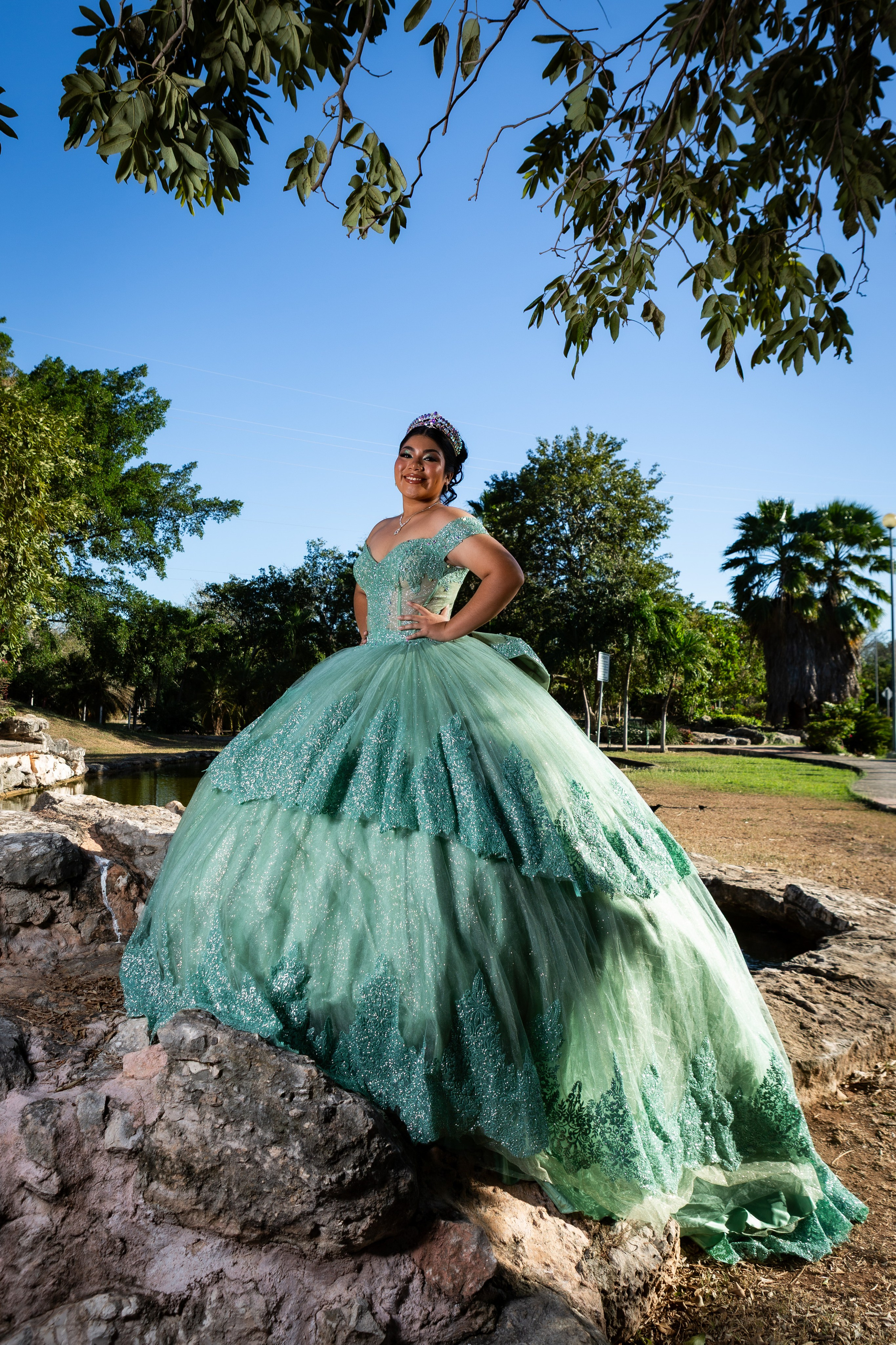 Xv años Danna