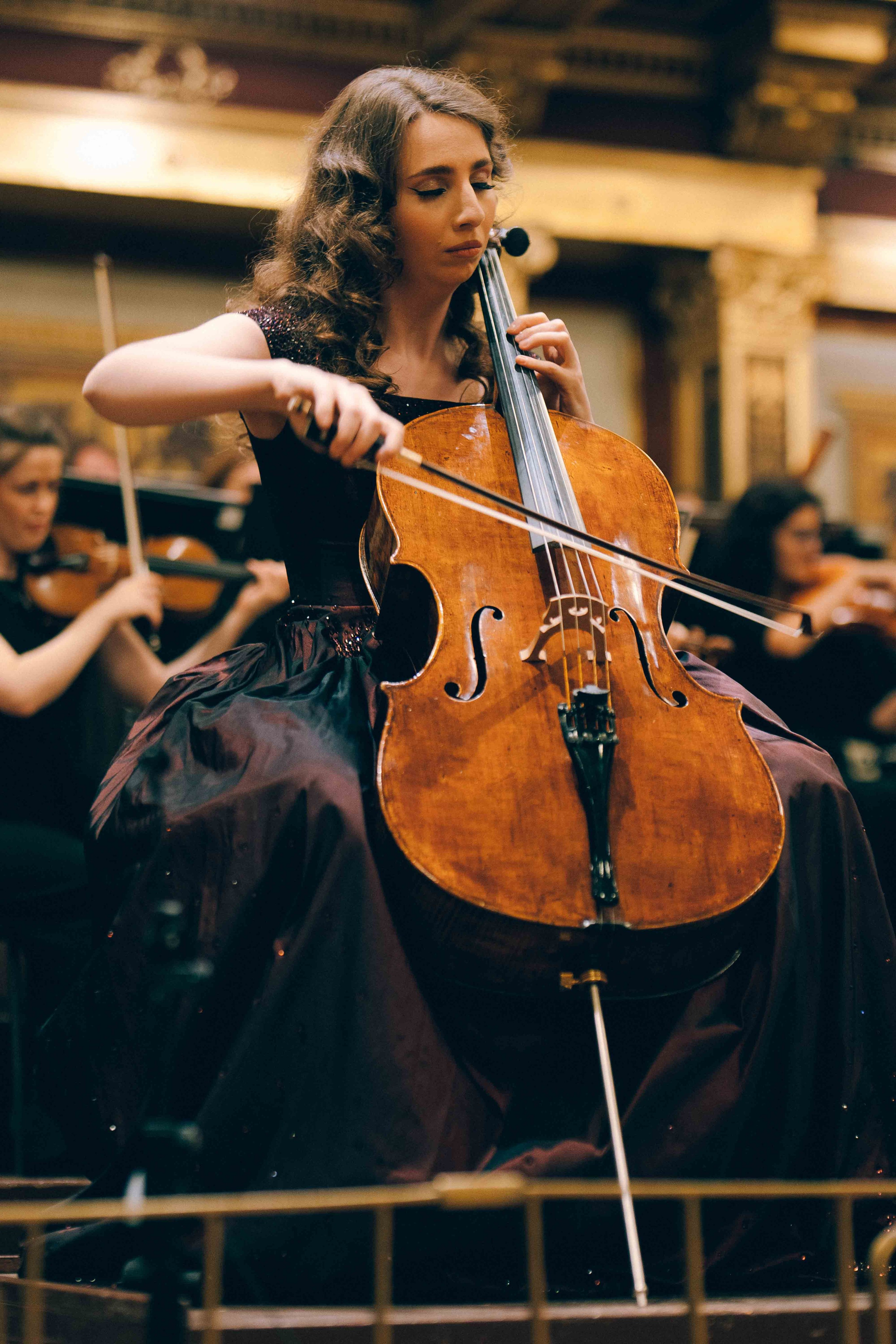 MUSIKVEREIN (VIENNA). Wedding&Event photographer Ismail Rzayev in Baku