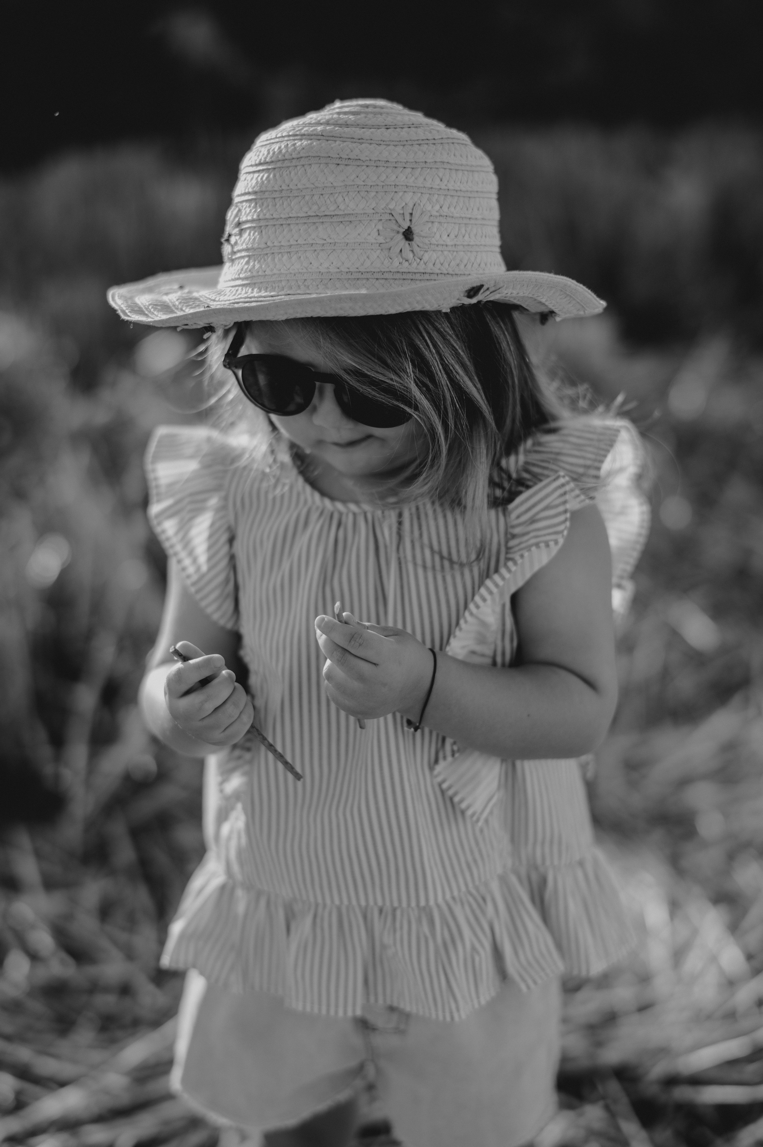 Polje suncokreta. Ana Sladojevic