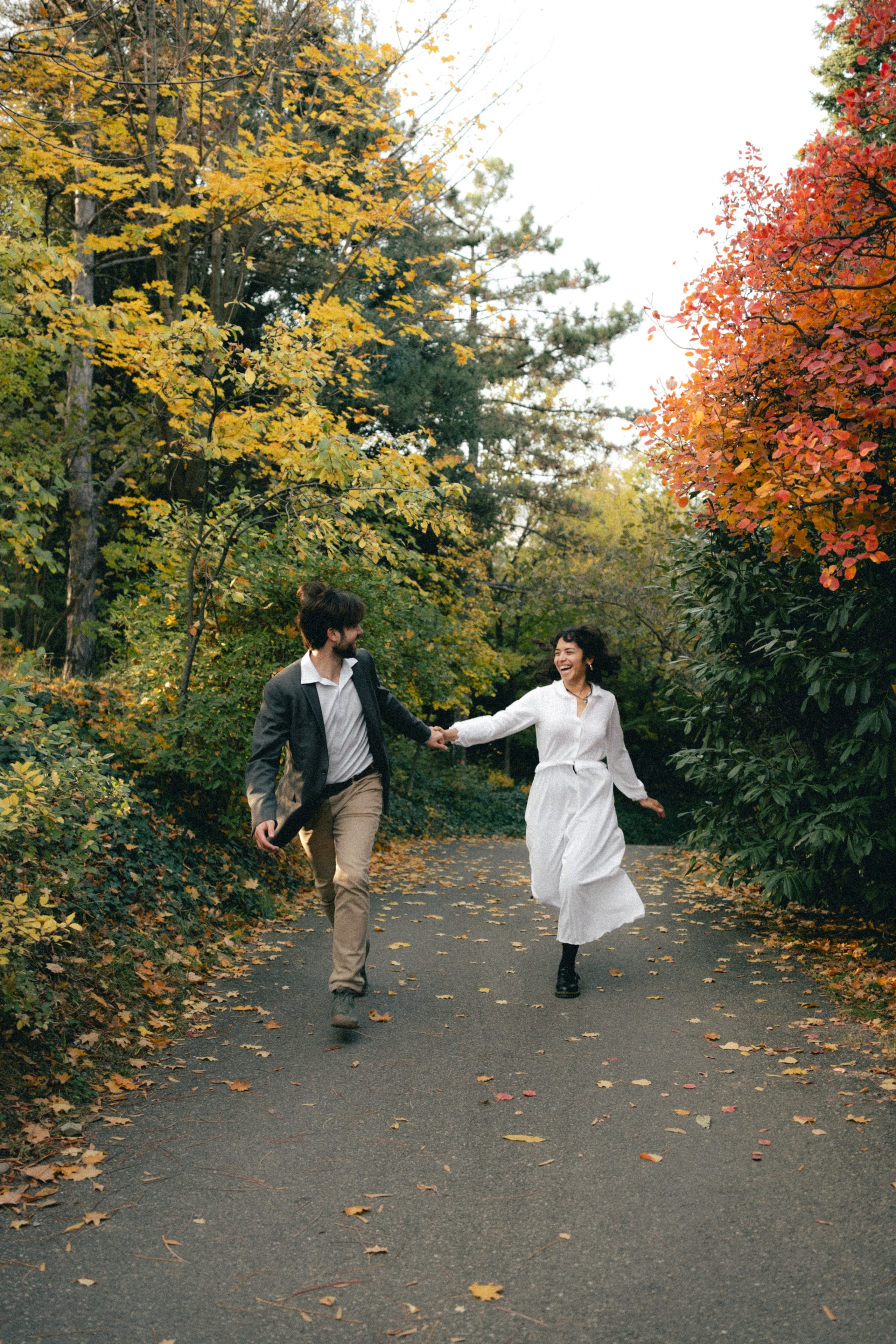 Botanical garden | Alessandro & Johanna. Главная