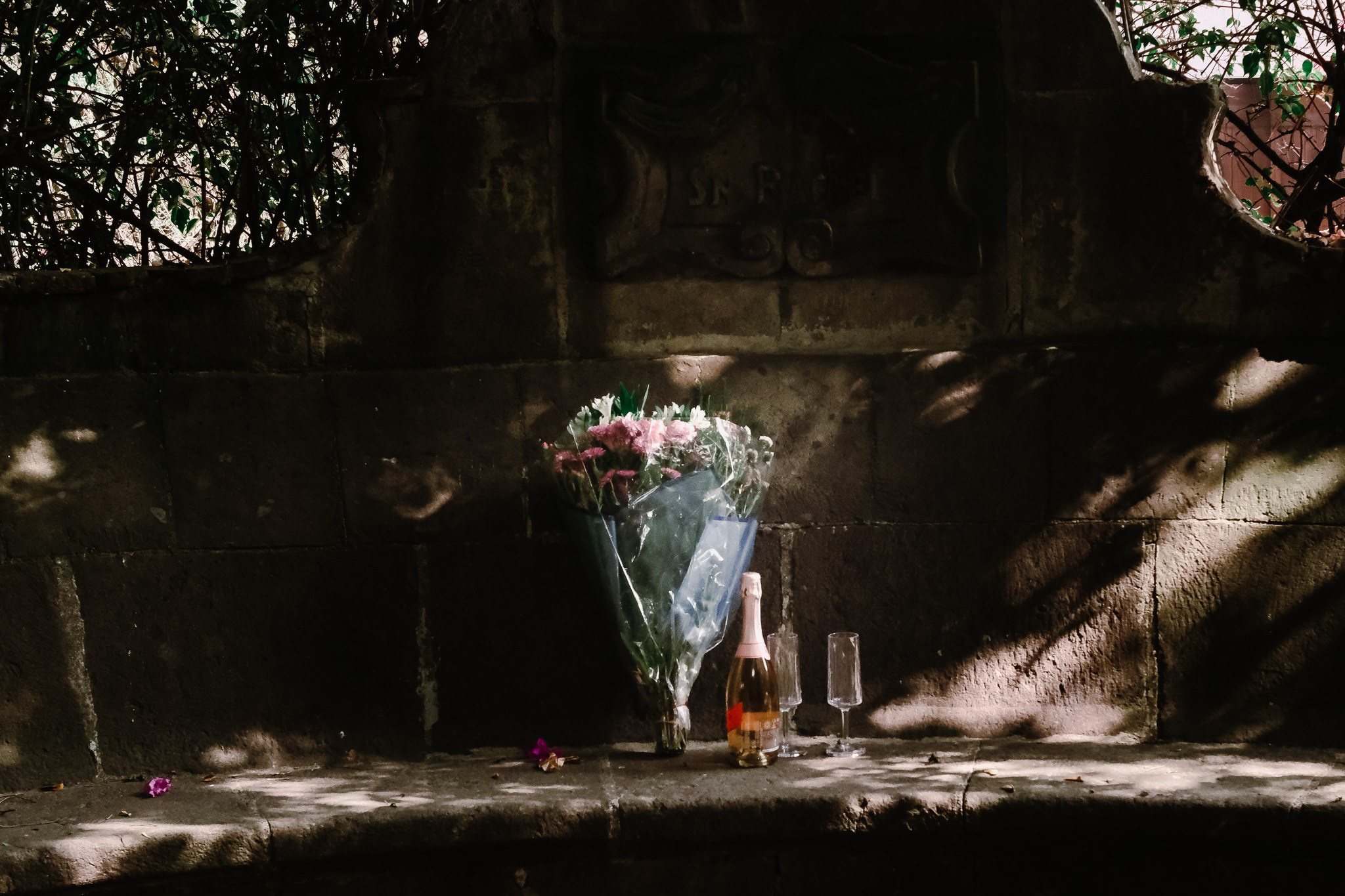 Kate & Wiilliam. Wedding and family photographer in Mexico City