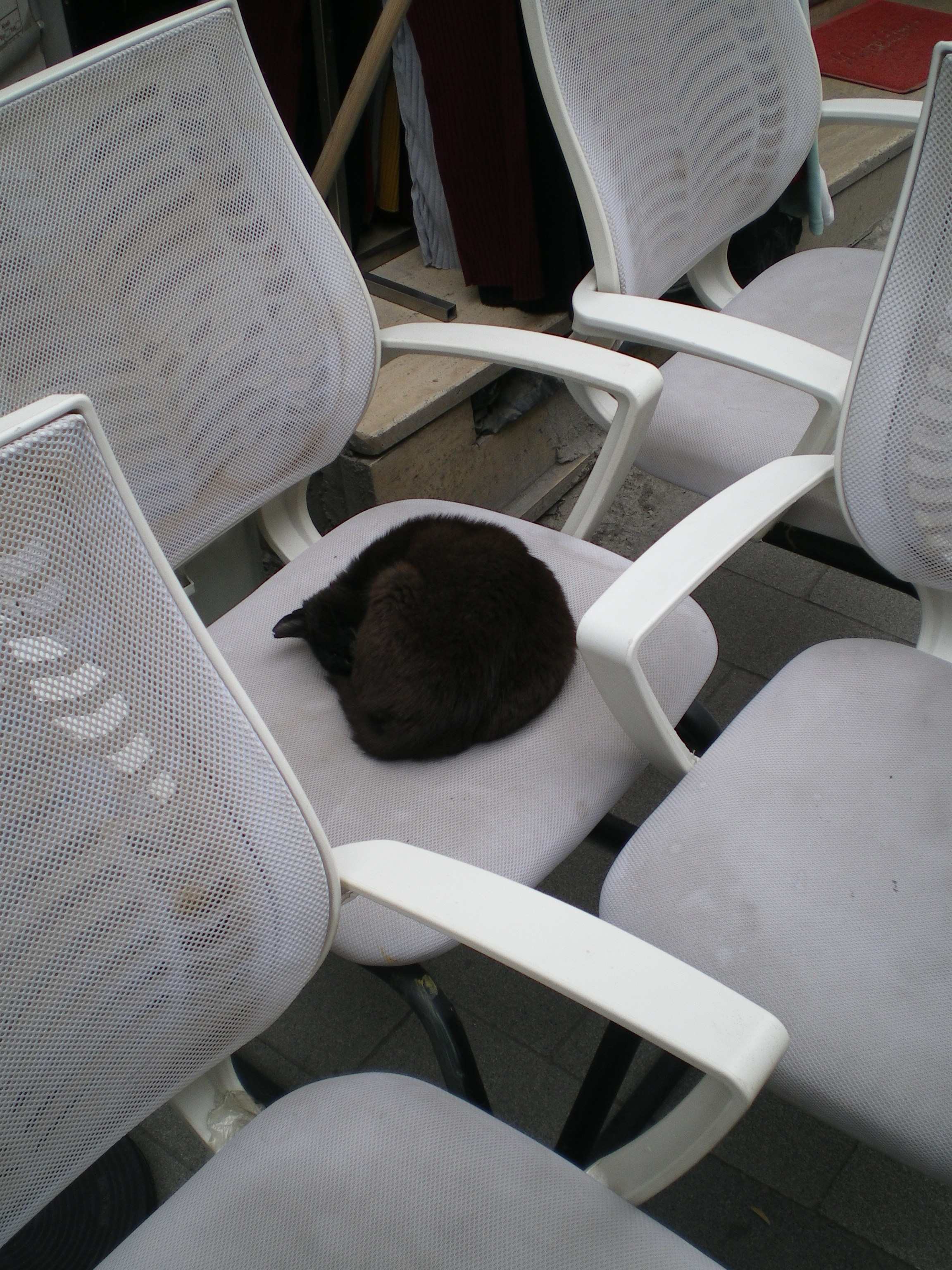 Ode to istanbul. Daria Sukhikh | Photography