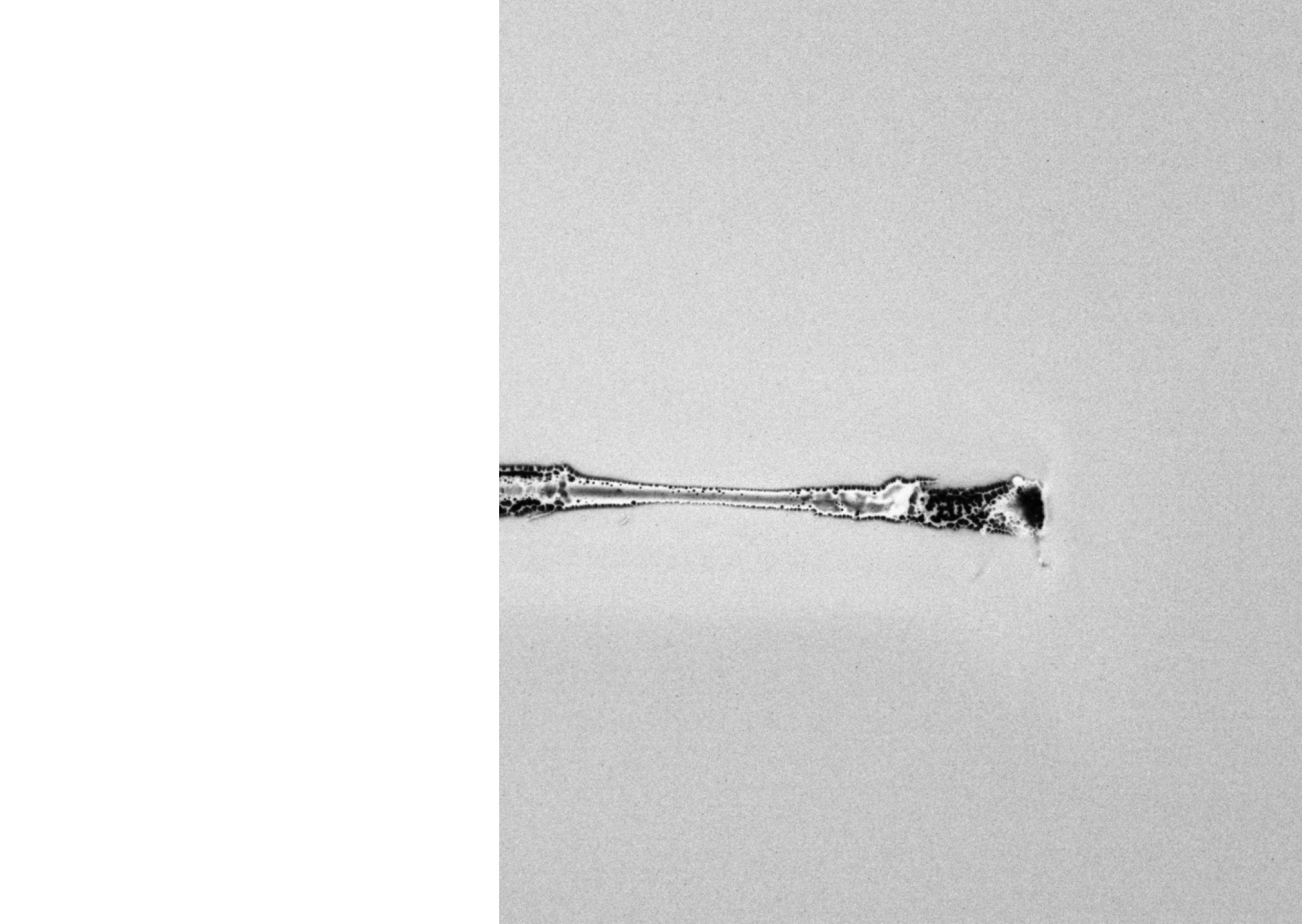 Introspection (2021) [full]. Daria Sukhikh | Photography