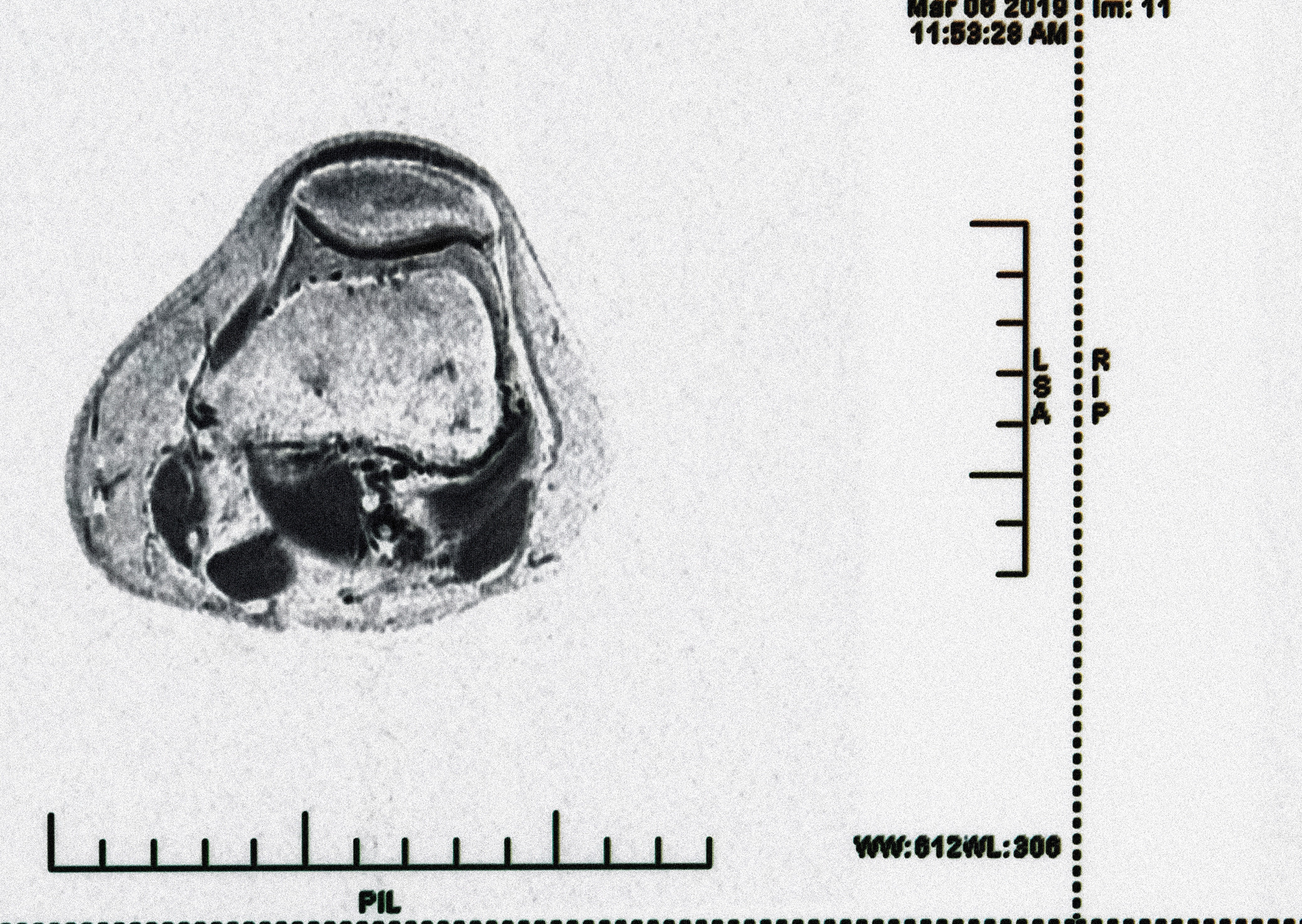 Introspection (2021) [full]. Daria Sukhikh | Photography