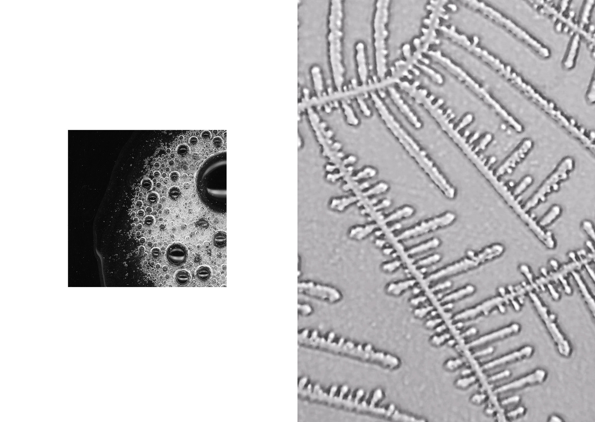 Introspection (2021) [full]. Daria Sukhikh | Photography