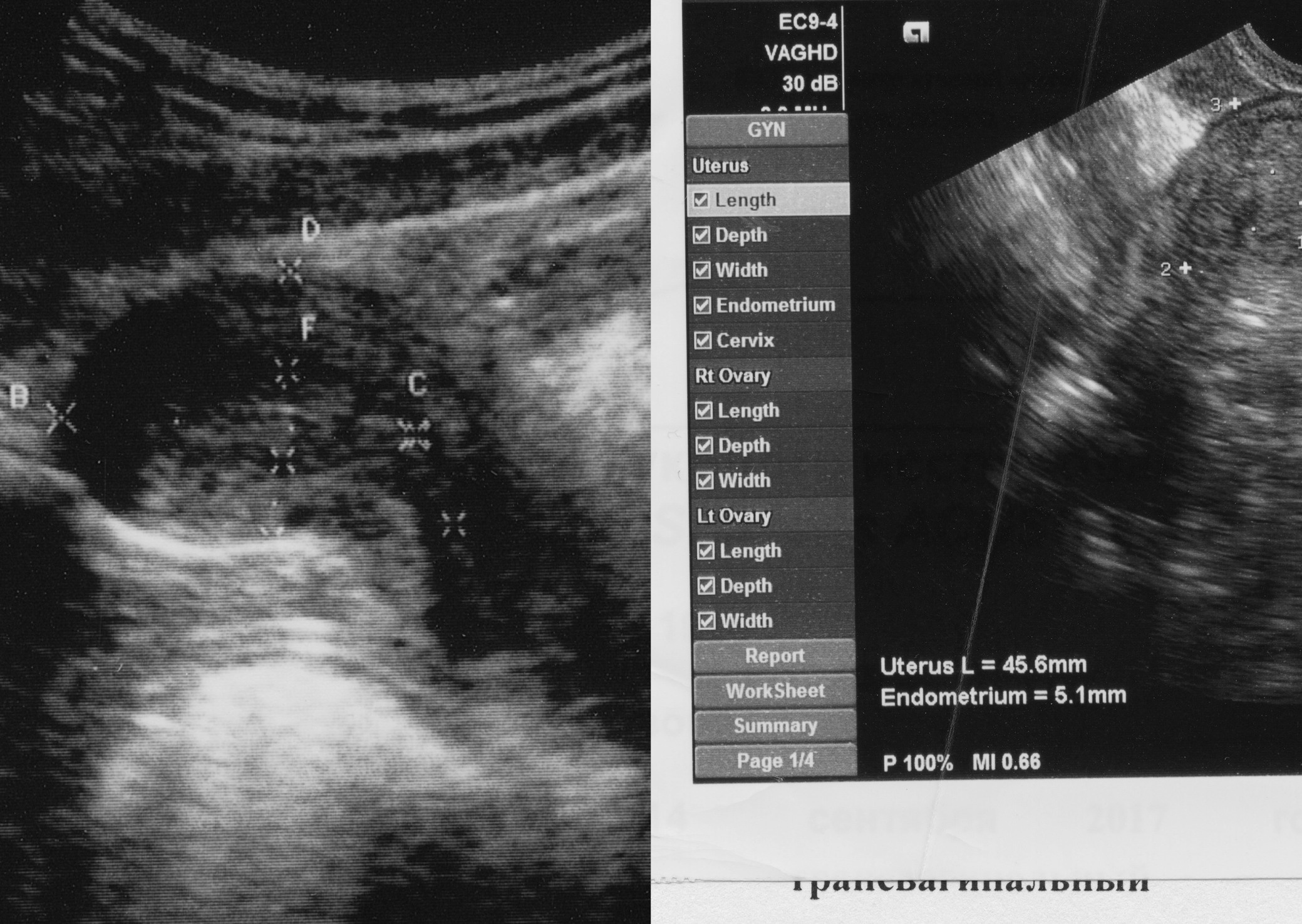 Introspection (2021) [full]. Daria Sukhikh | Photography