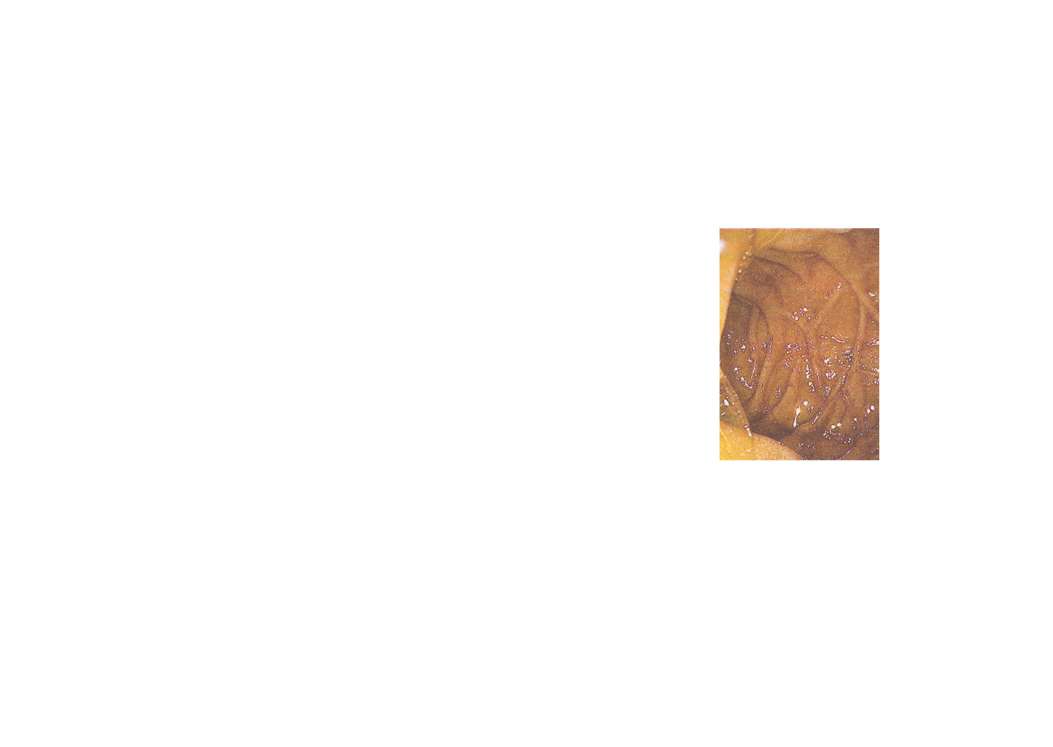 Introspection (2021) [full]. Daria Sukhikh | Photography