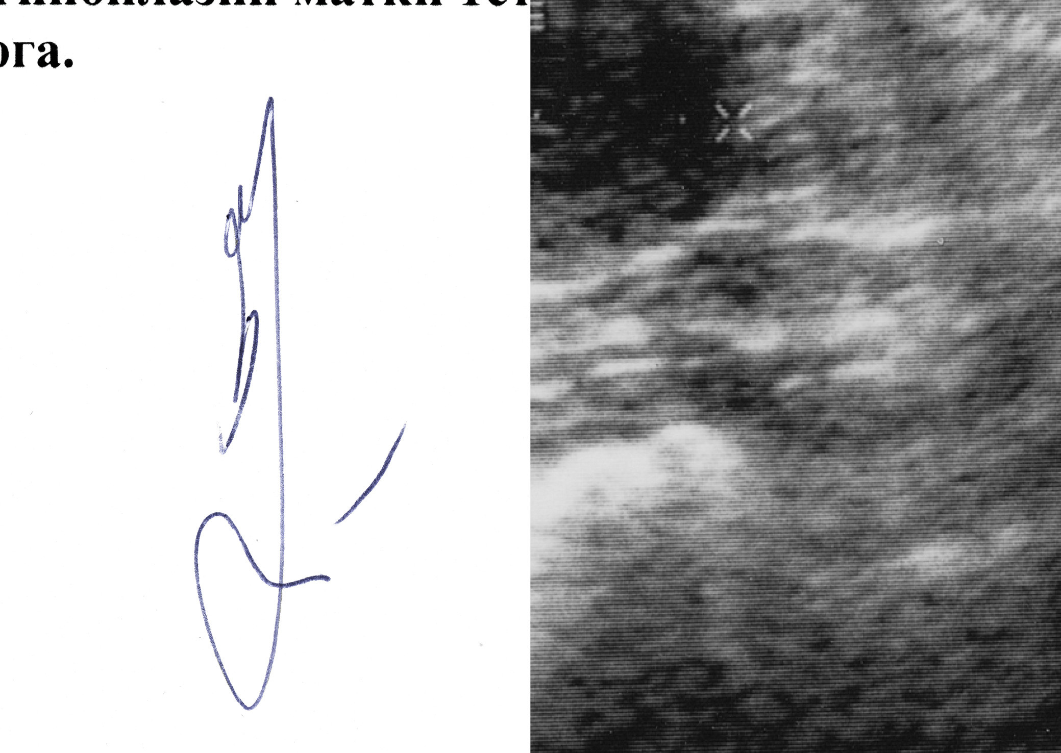 Introspection (2021) [full]. Daria Sukhikh | Photography