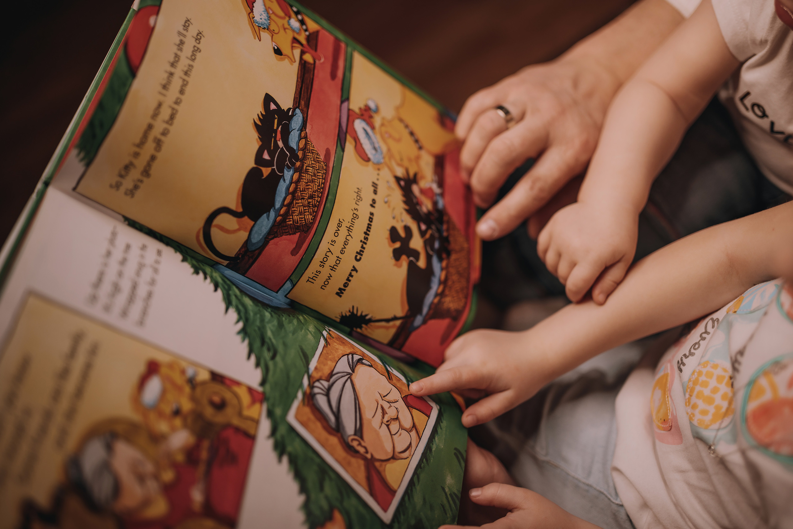 02.04.2023 Christmas Photoshoot 24. Wedding family event photographer in Chicago Nick Yushevich