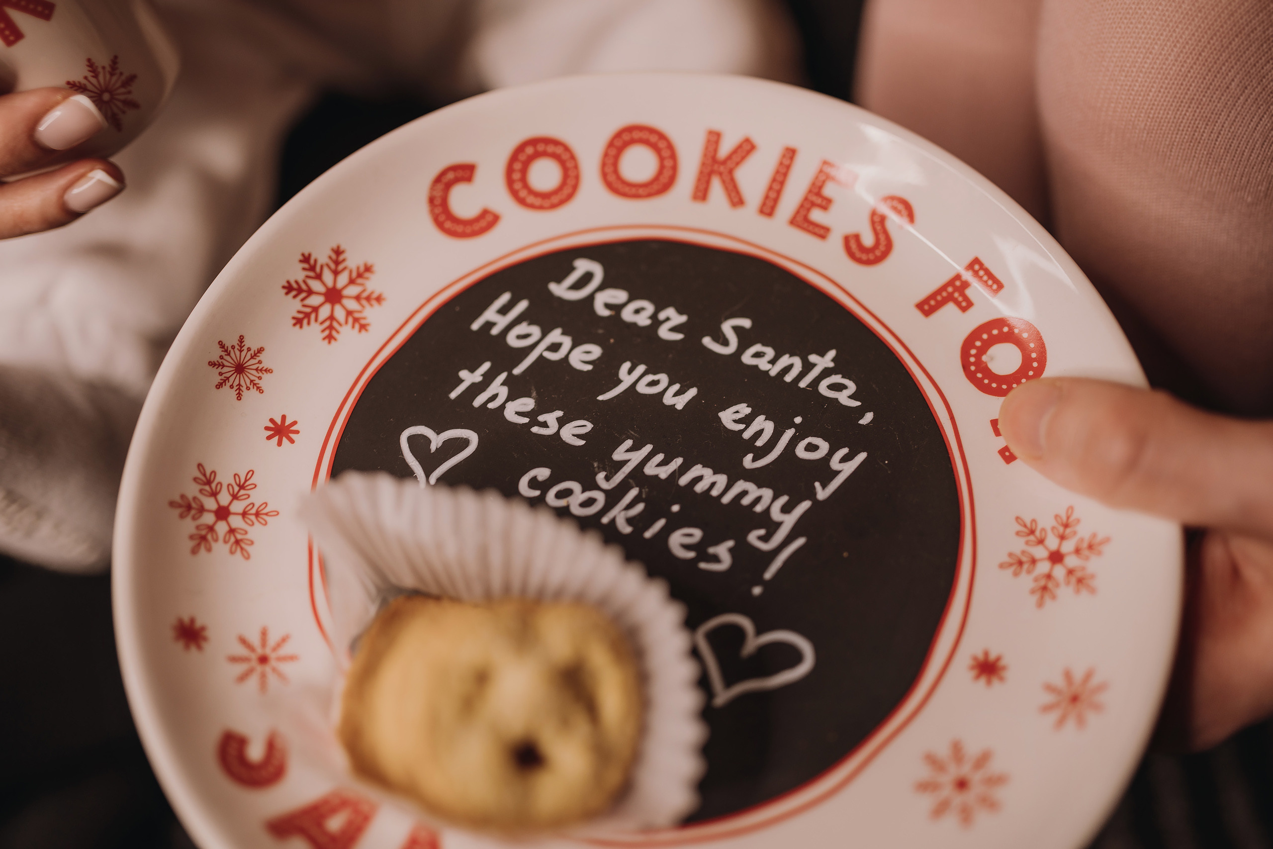 17.12.2022 Christmas Photoshoot 21. Wedding family event photographer in Chicago Nick Yushevich