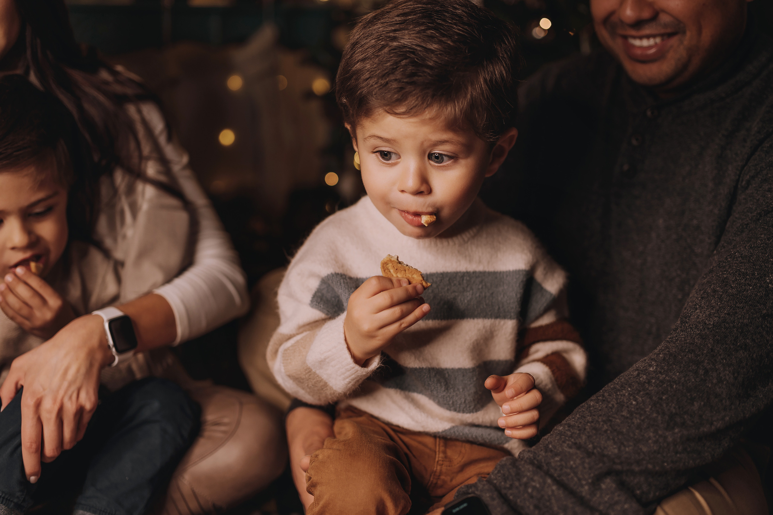 12.11.2022 Christmas Photoshoot 18. Wedding family event photographer in Chicago Nick Yushevich