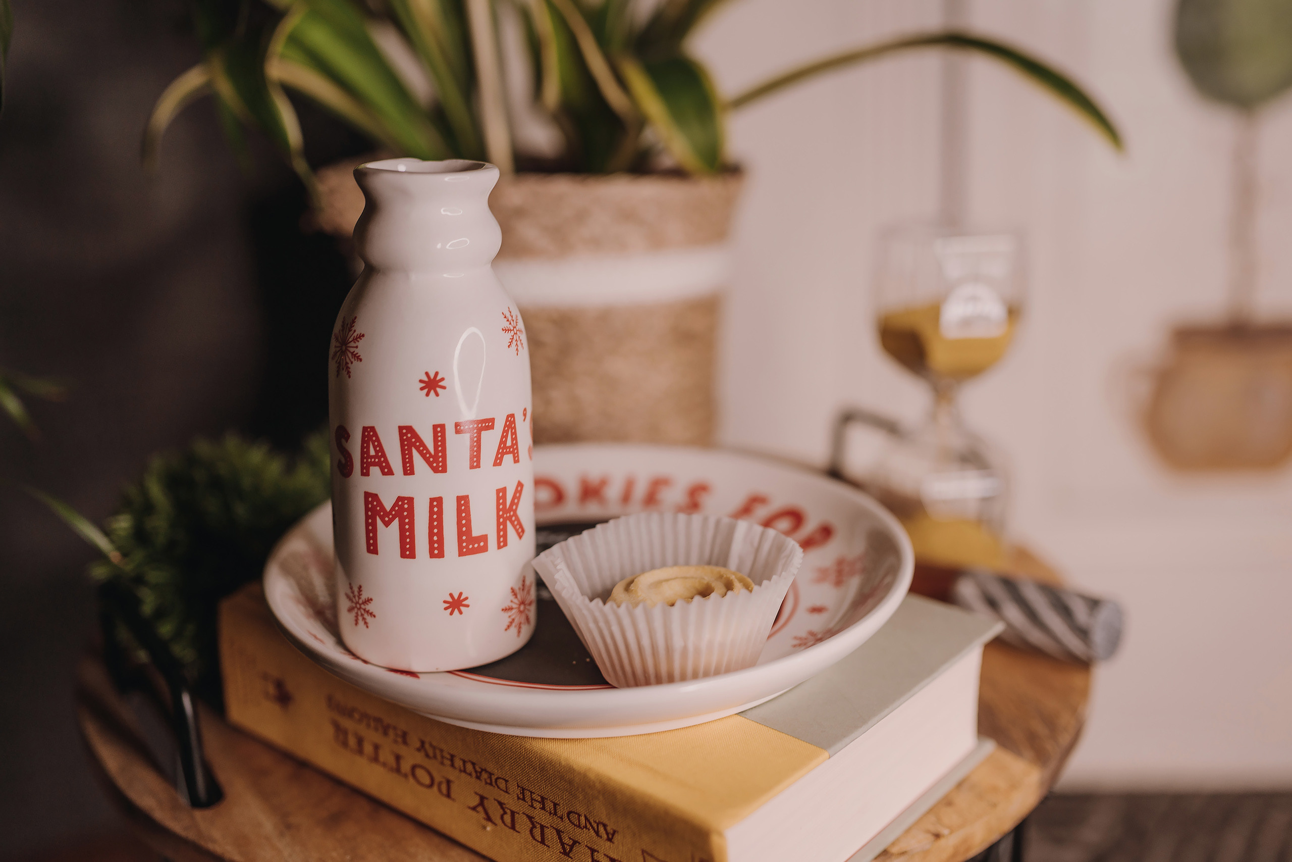 13.12.2022 Christmas Photoshoot 20. Wedding family event photographer in Chicago Nick Yushevich