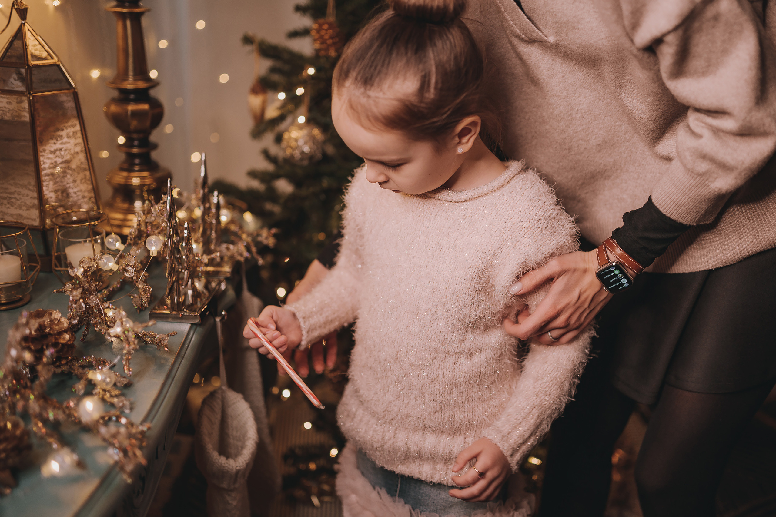 17.12.2022 Christmas Photoshoot 21. Wedding family event photographer in Chicago Nick Yushevich