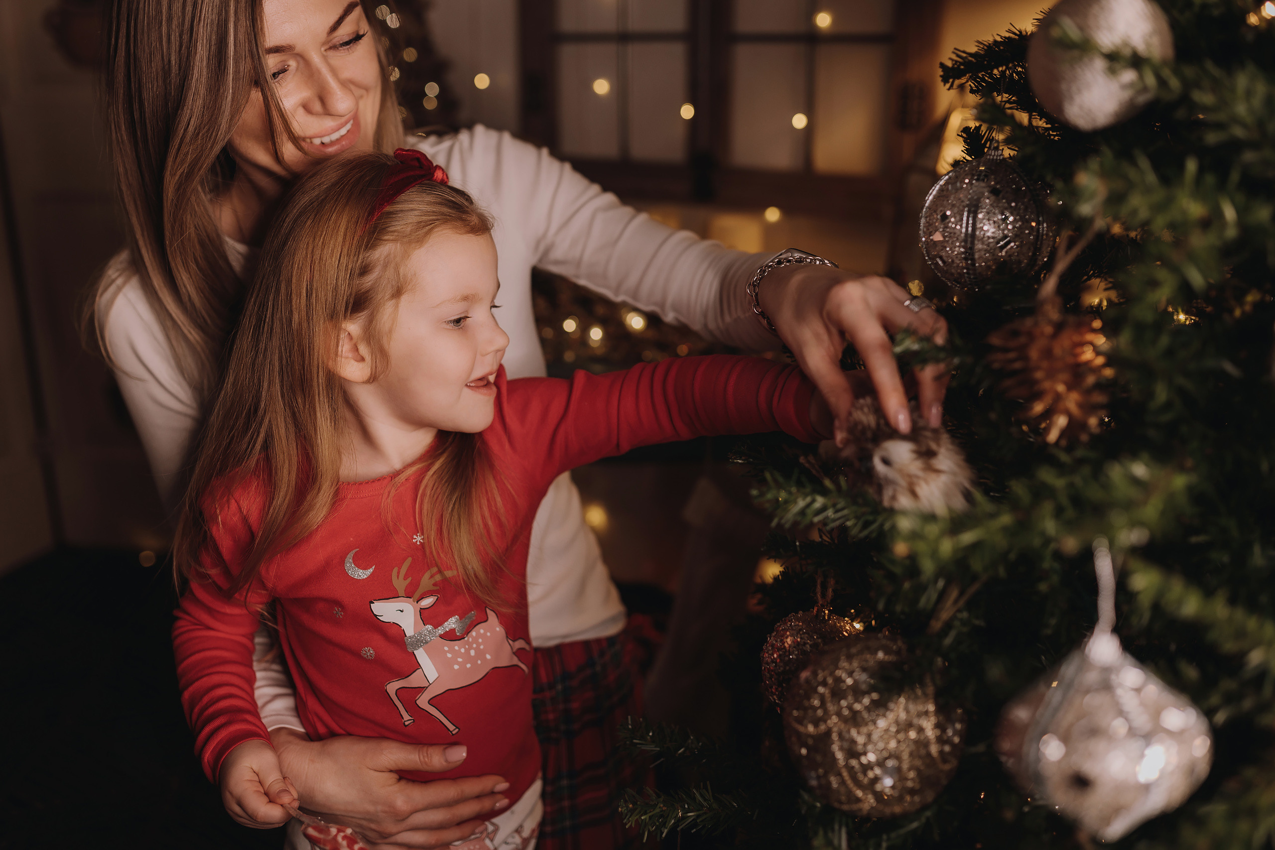 13.12.2022 Christmas Photoshoot 20. Wedding family event photographer in Chicago Nick Yushevich