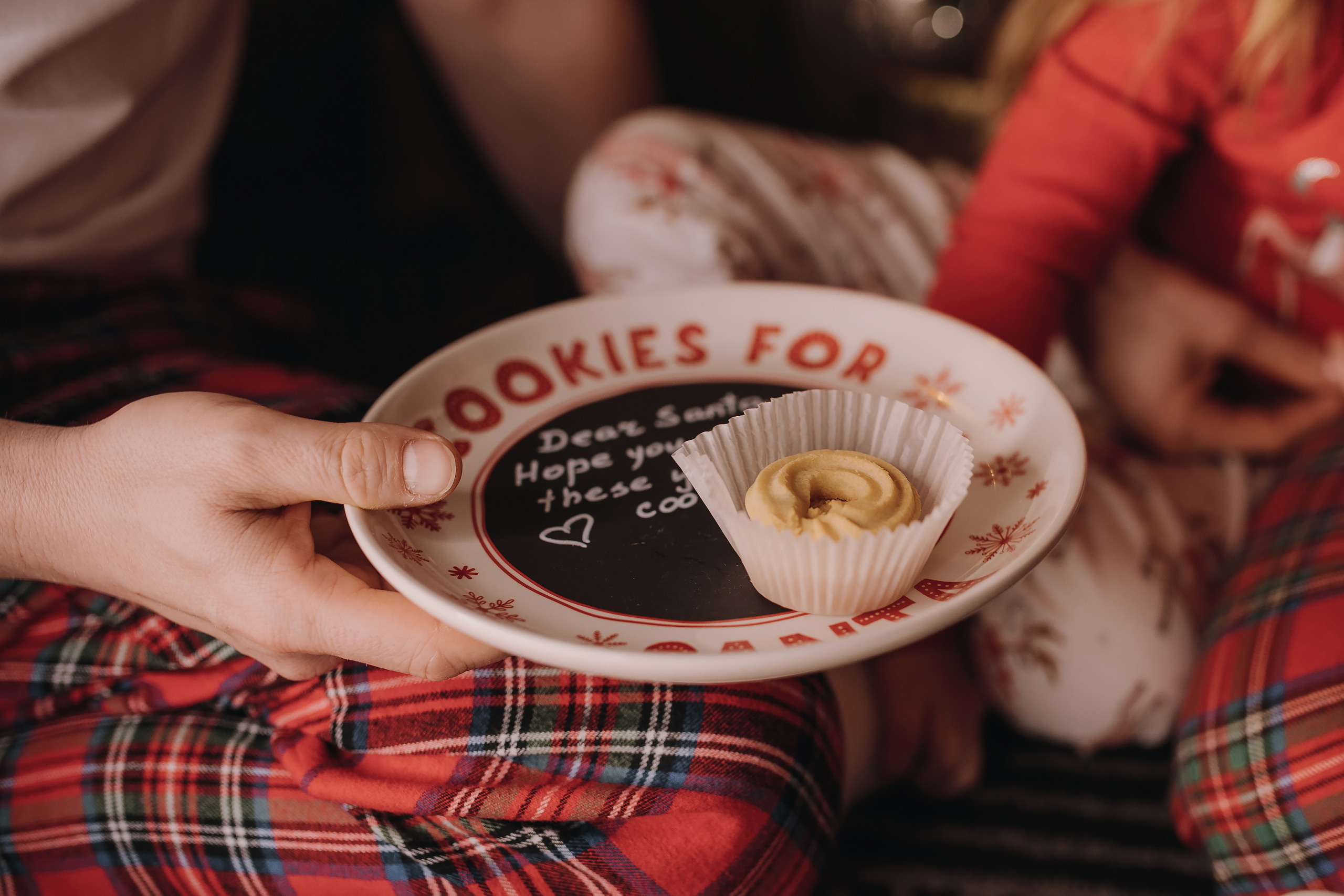 13.12.2022 Christmas Photoshoot 20. Wedding family event photographer in Chicago Nick Yushevich