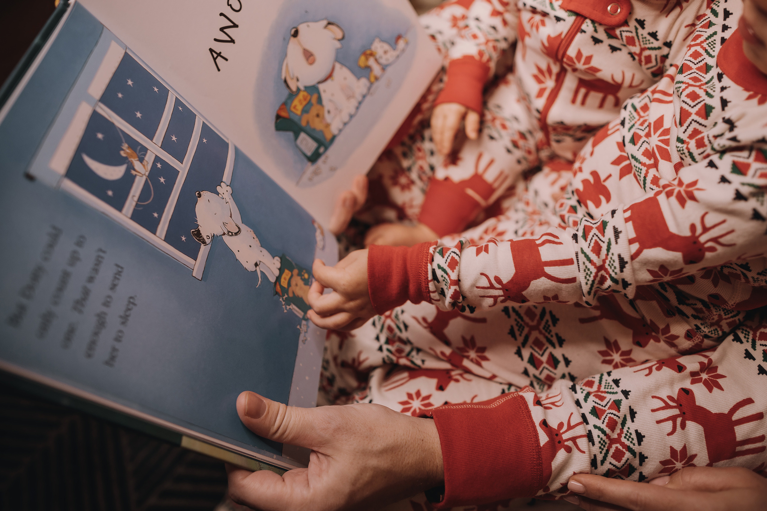 29.01.2023 Christmas Photoshoot 25. Wedding family event photographer in Chicago Nick Yushevich