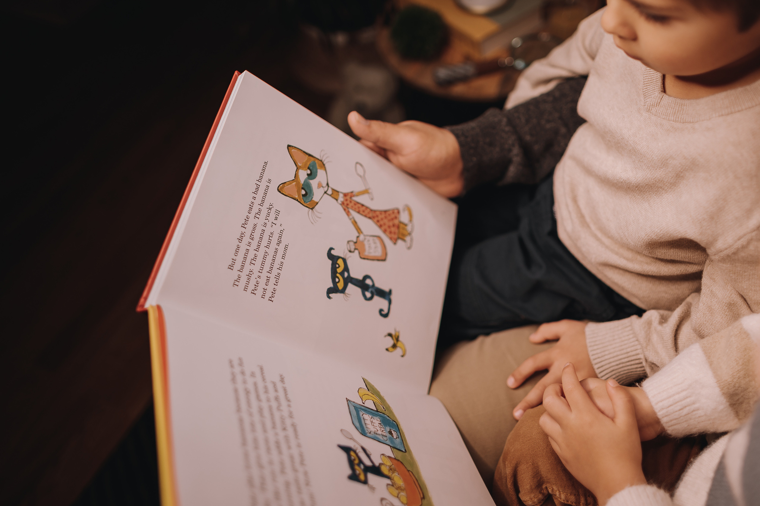 12.11.2022 Christmas Photoshoot 18. Wedding family event photographer in Chicago Nick Yushevich